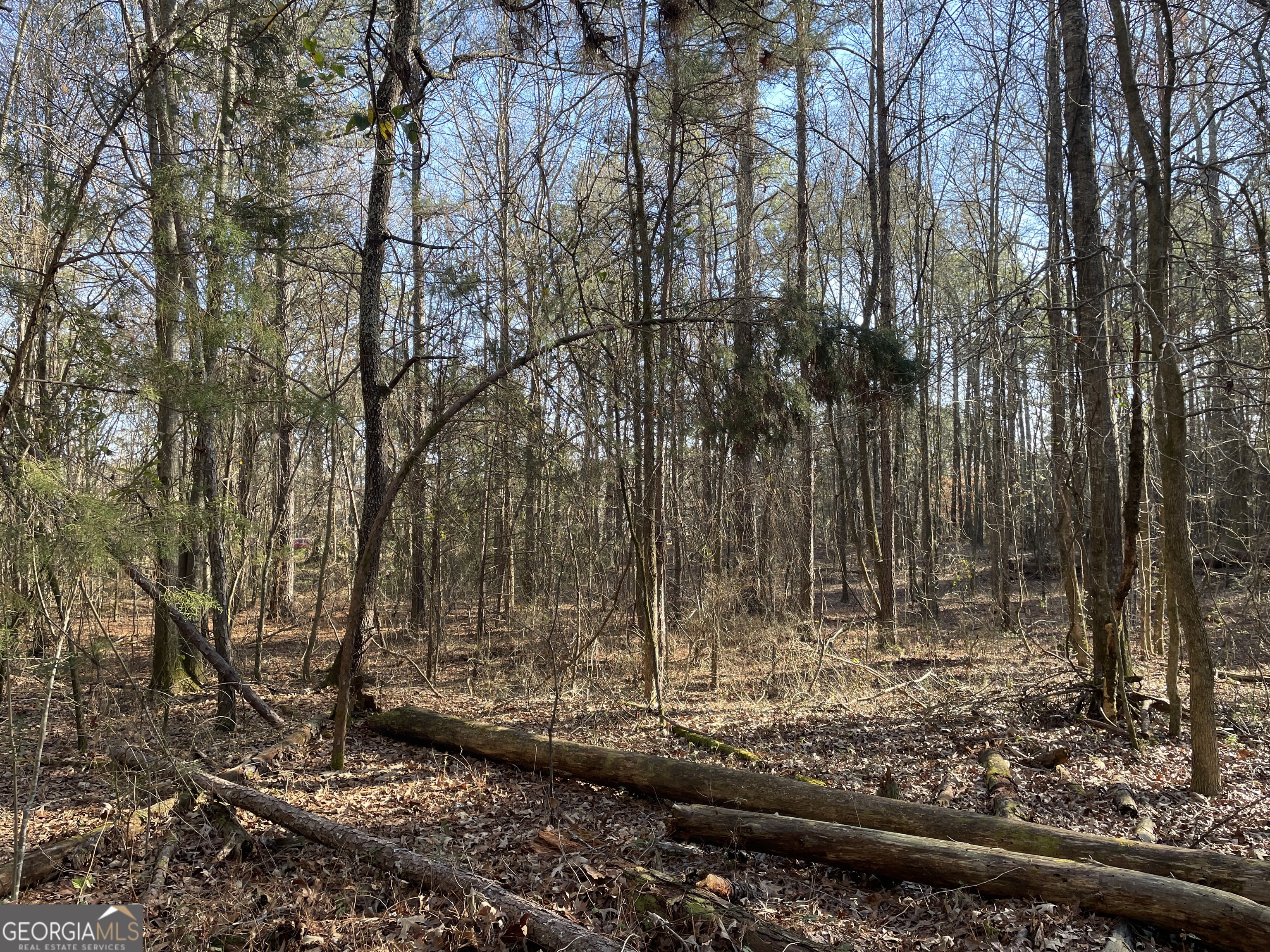 0 S Highway 81 Property Photo 23