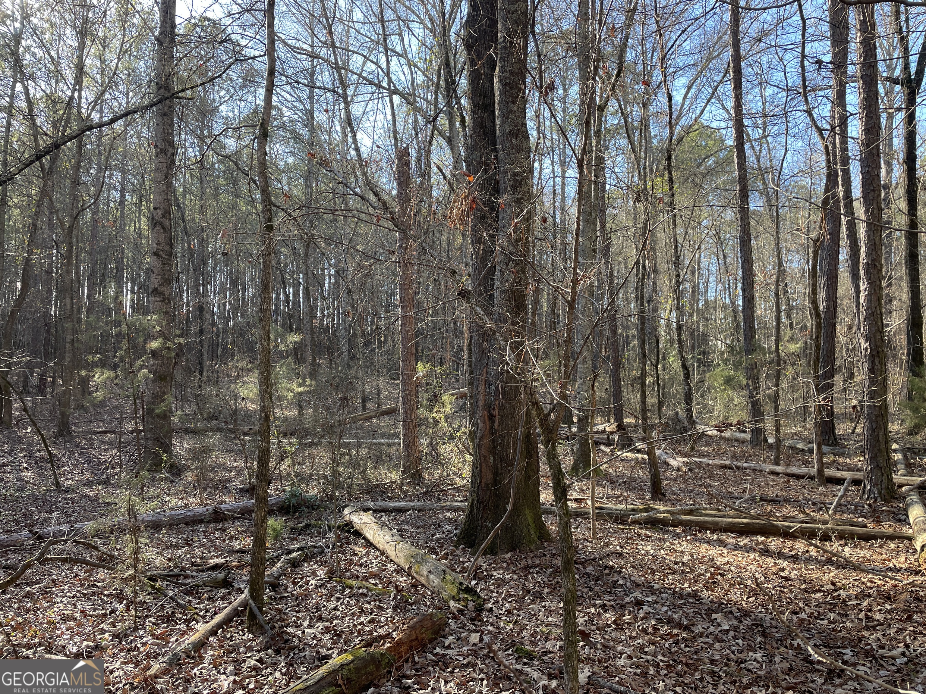 0 S Highway 81 Property Photo 24