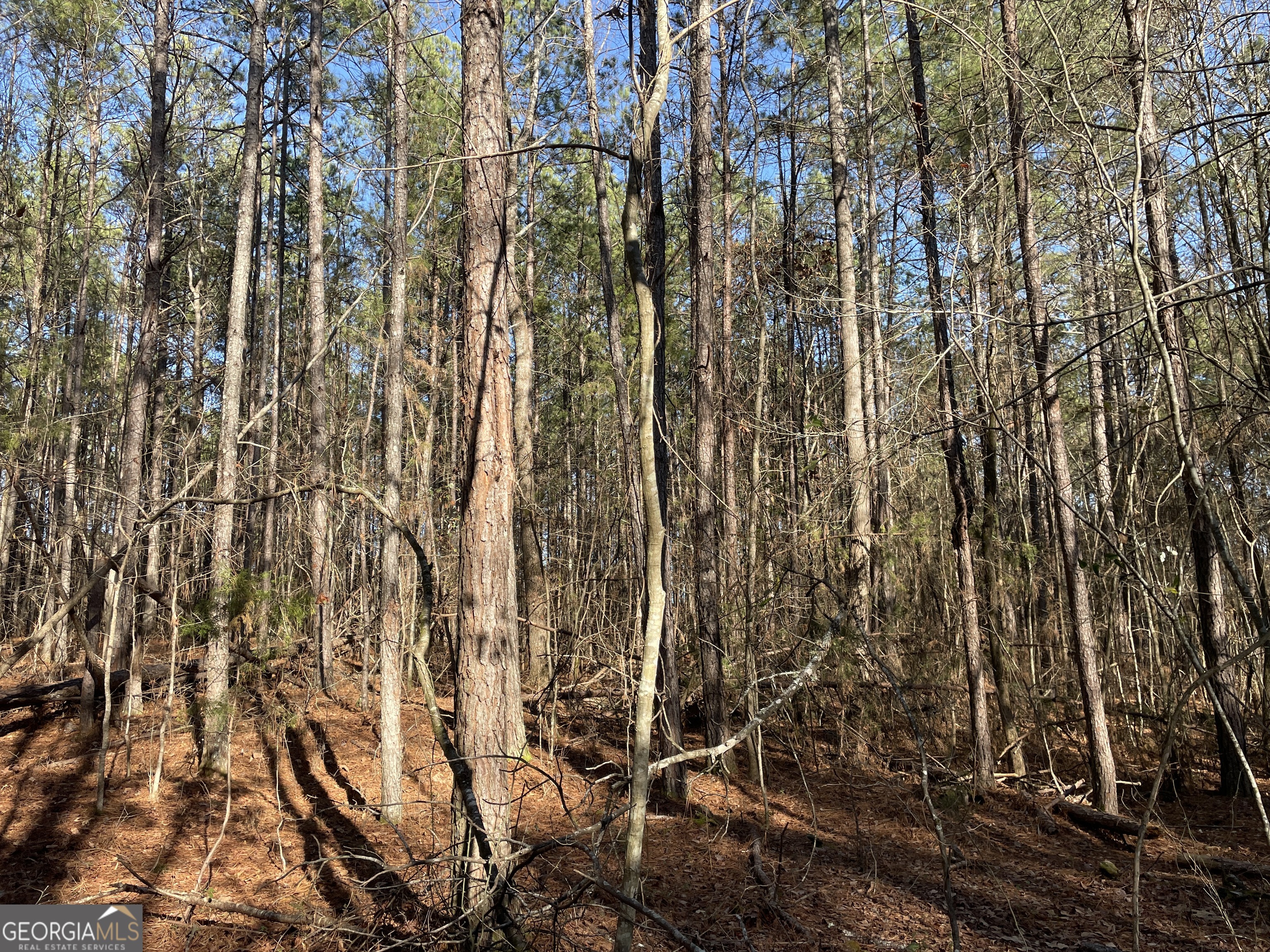 0 S Highway 81 Property Photo 25