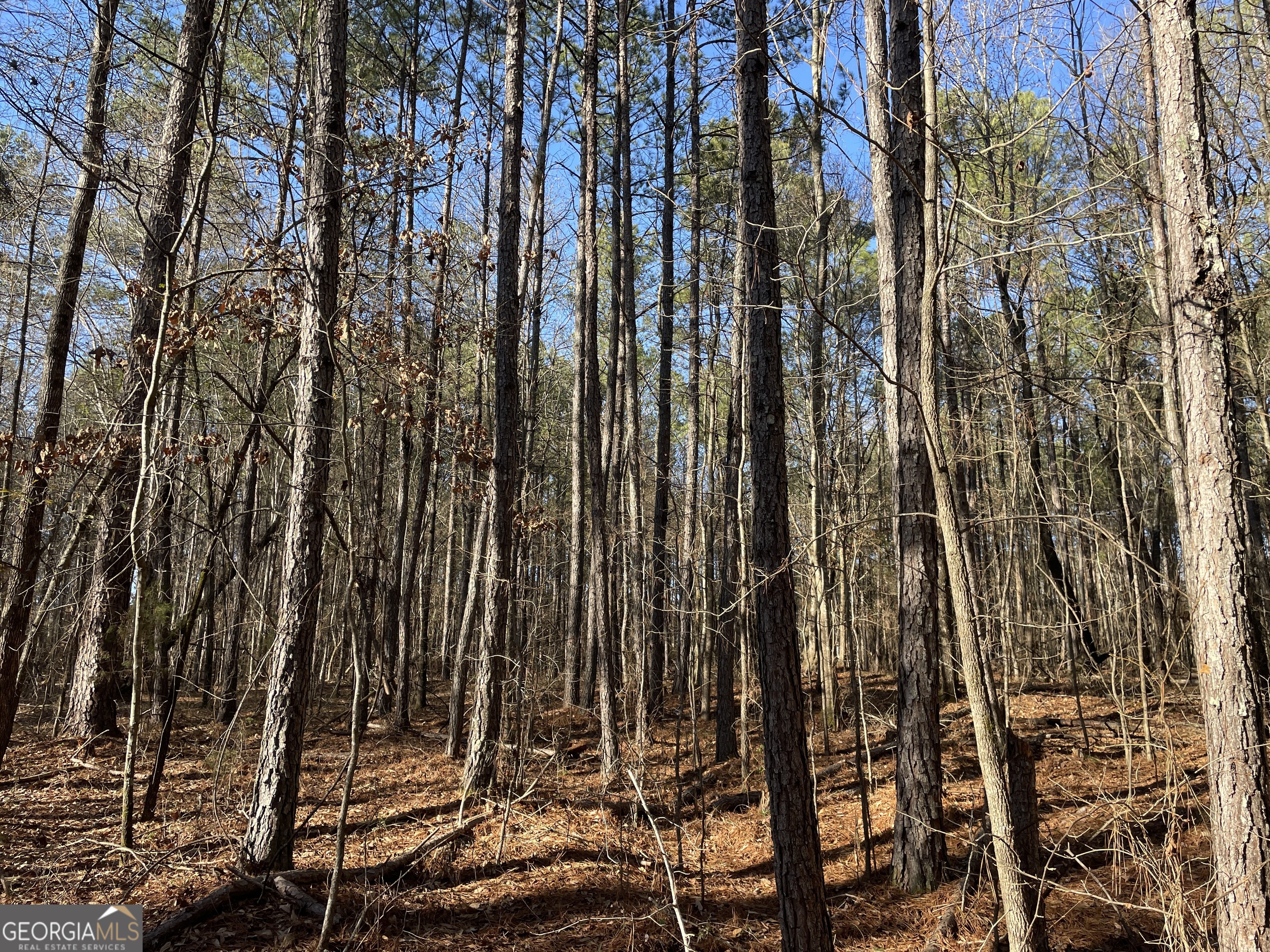 0 S Highway 81 Property Photo 26