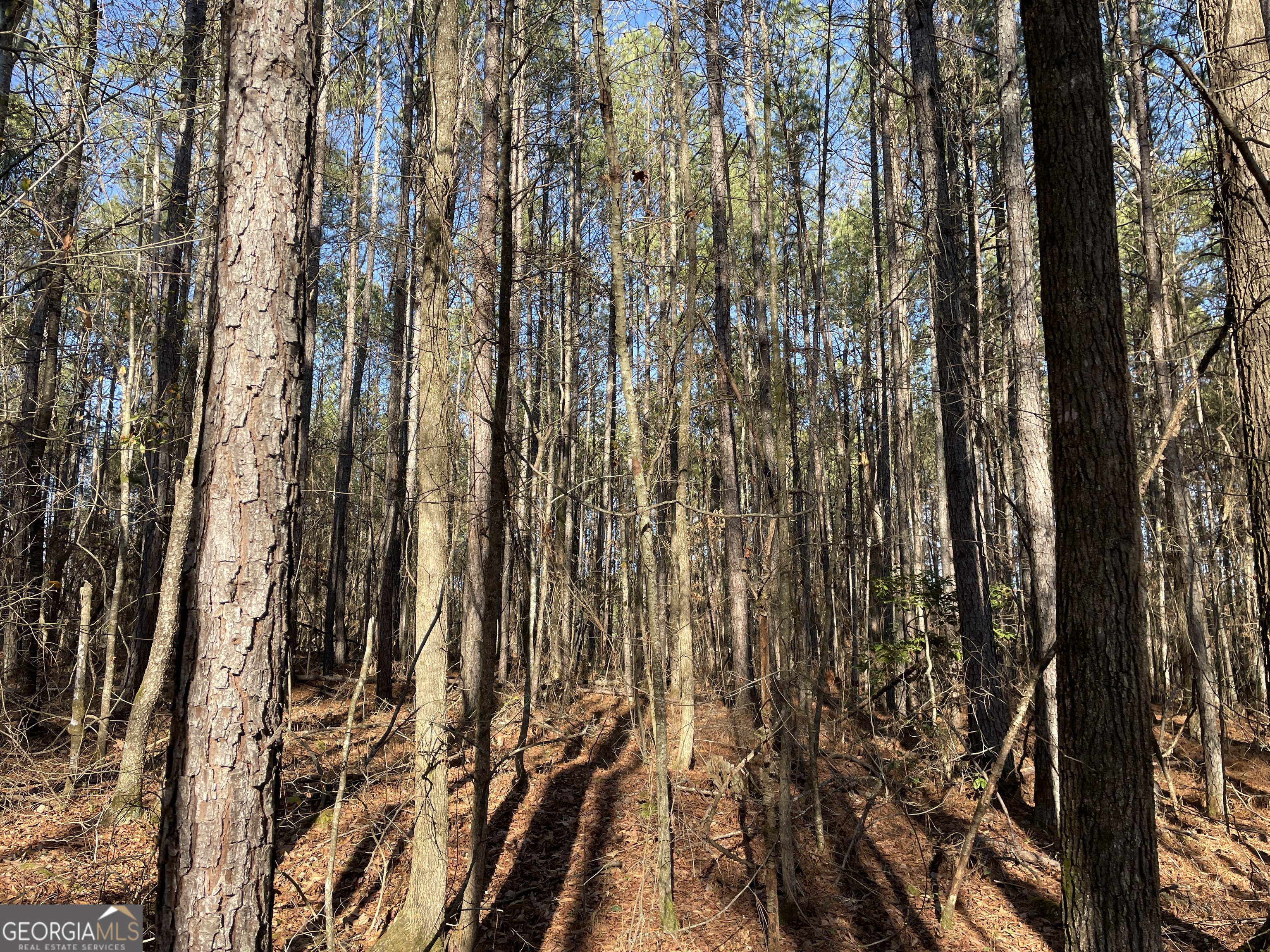 0 S Highway 81 Property Photo 27