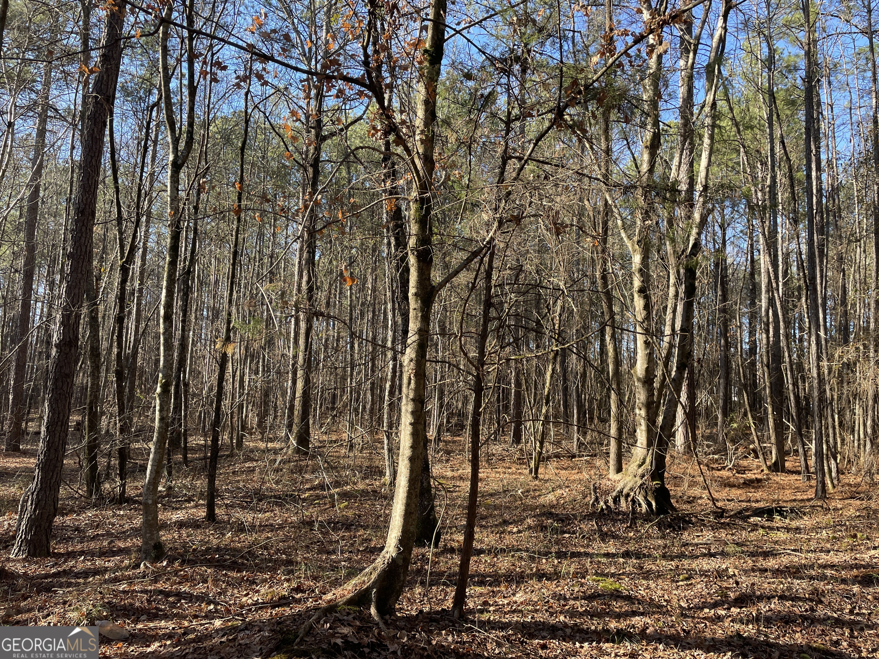 0 S Highway 81 Property Photo 28