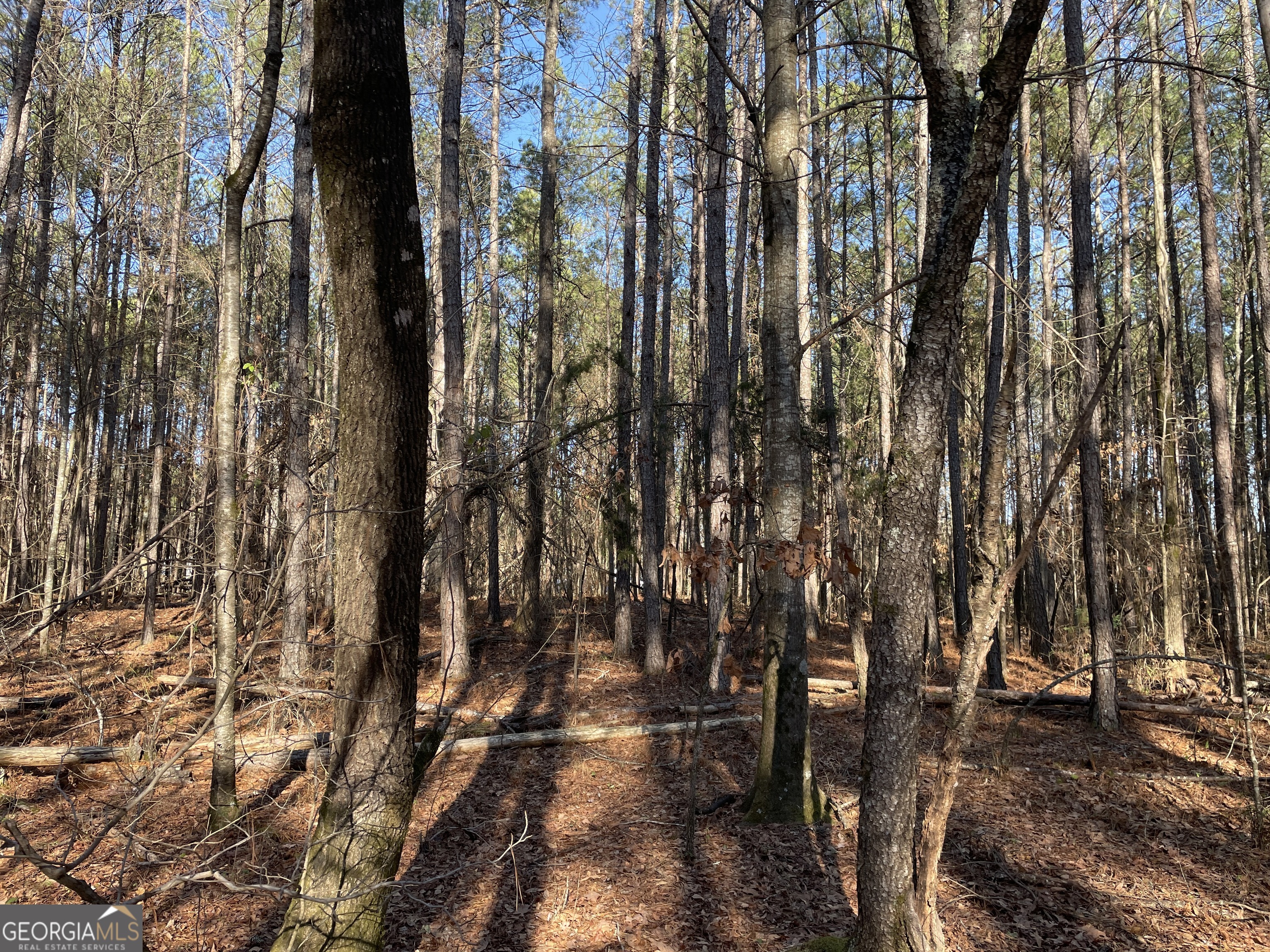 0 S Highway 81 Property Photo 29