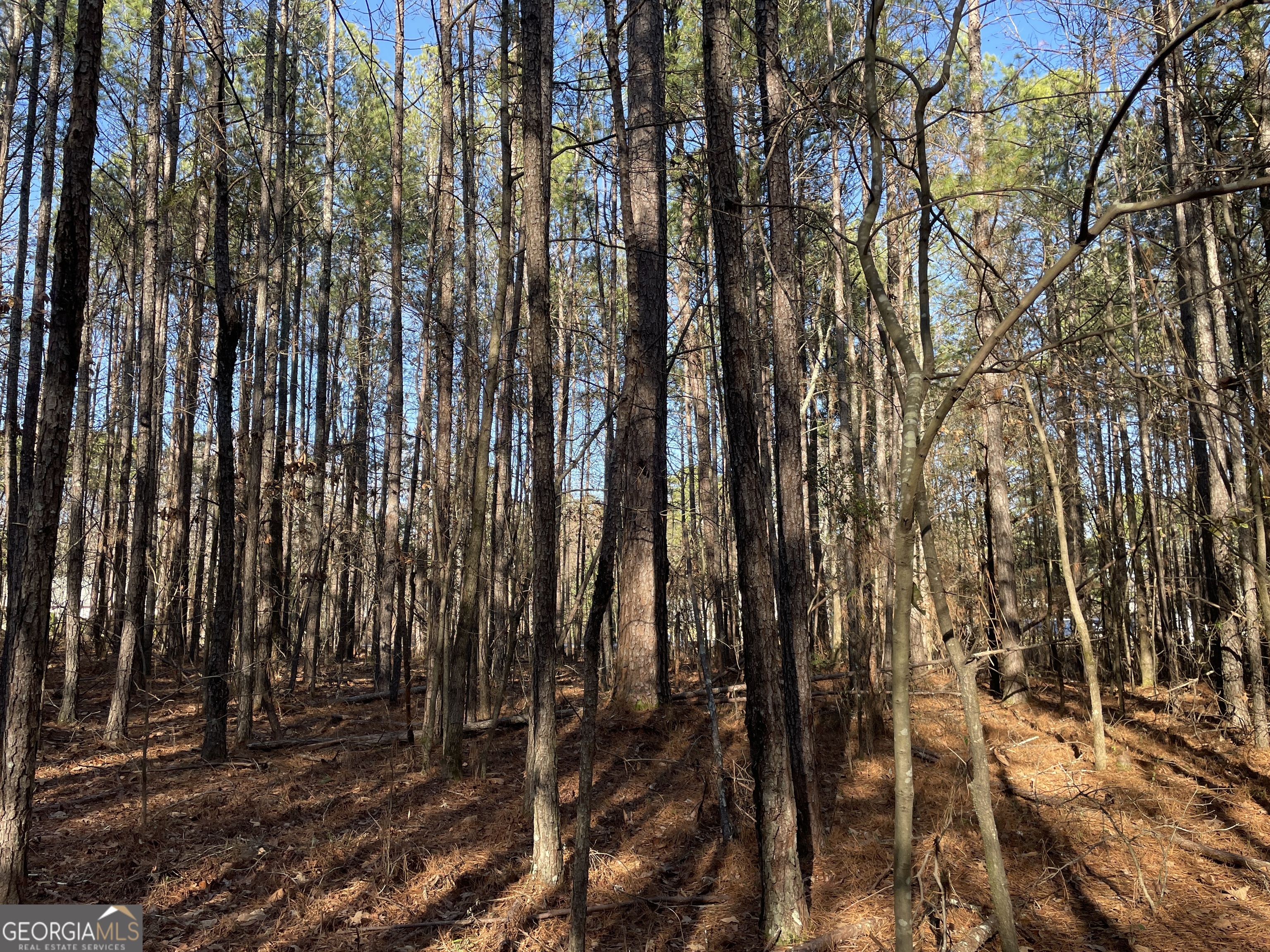 0 S Highway 81 Property Photo 31