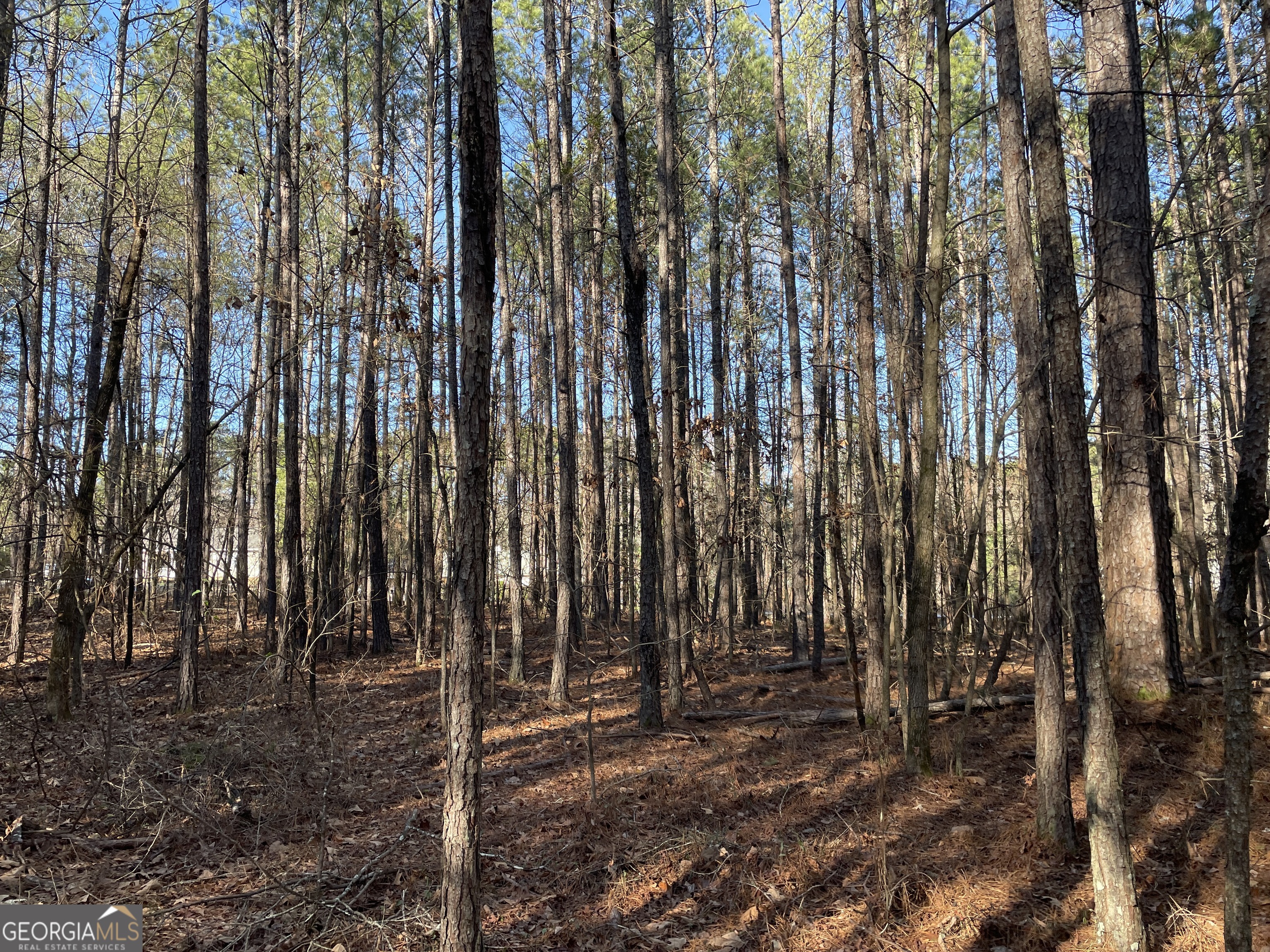 0 S Highway 81 Property Photo 32