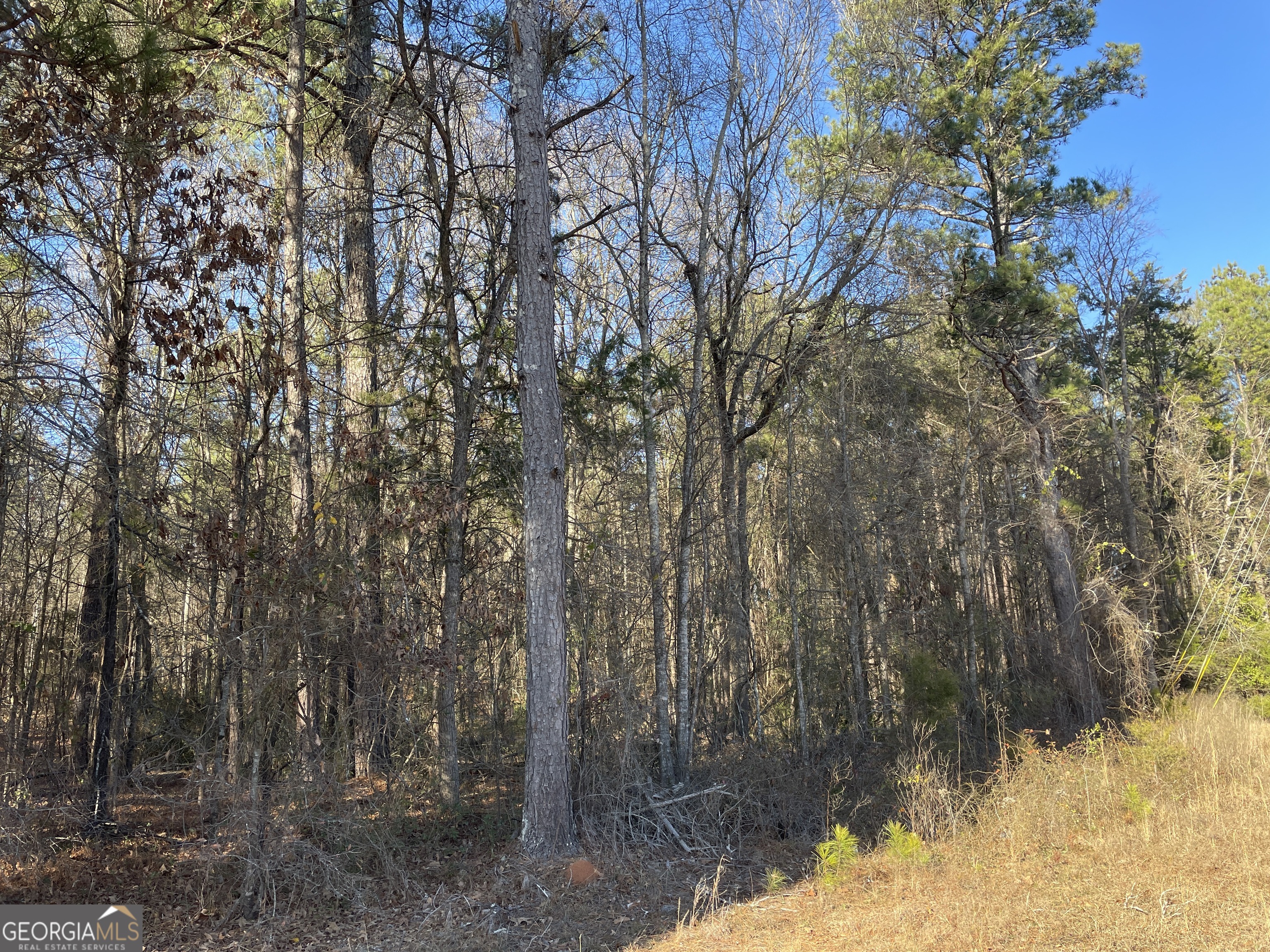0 S Highway 81 Property Photo 34