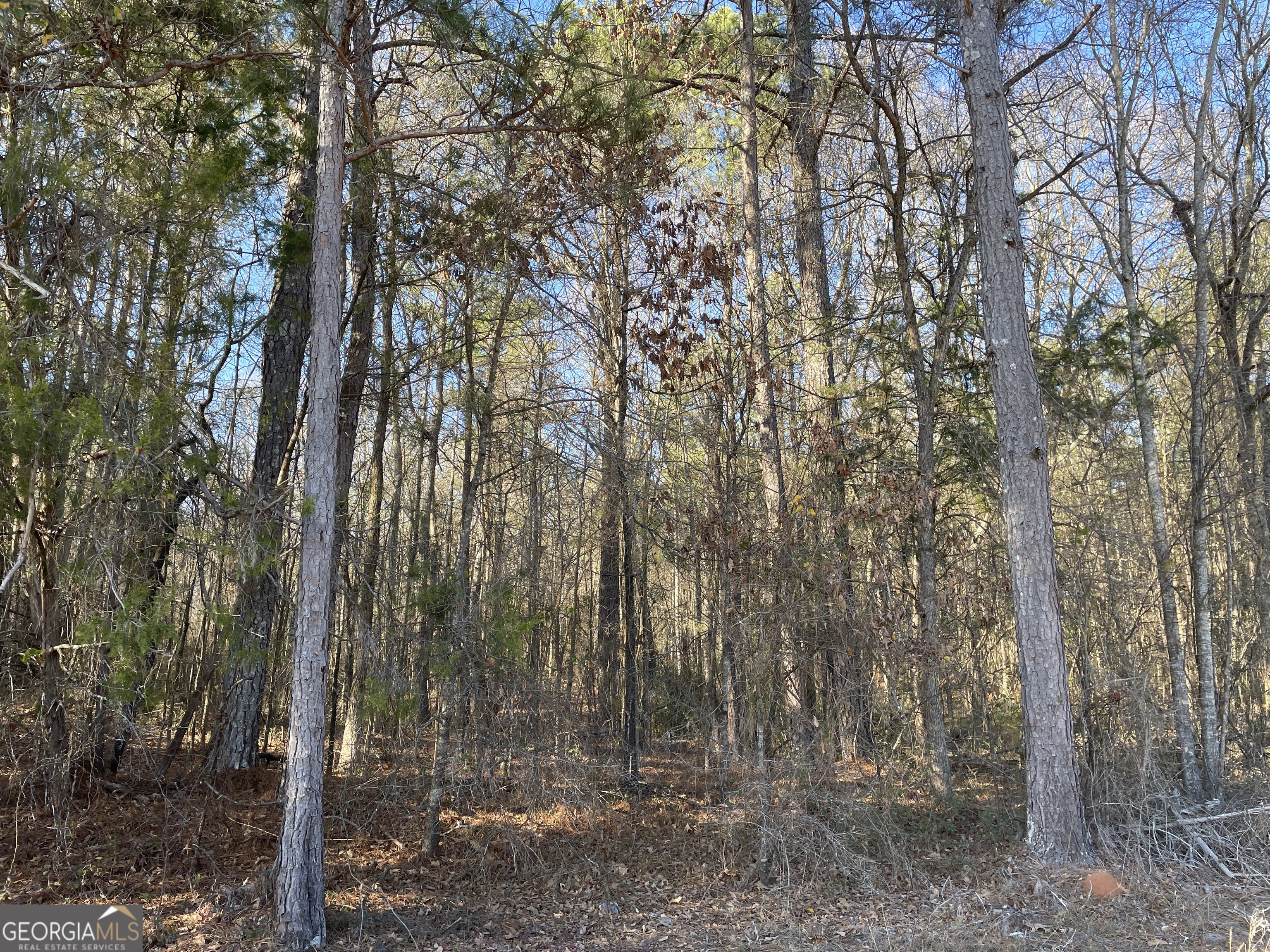 0 S Highway 81 Property Photo 35