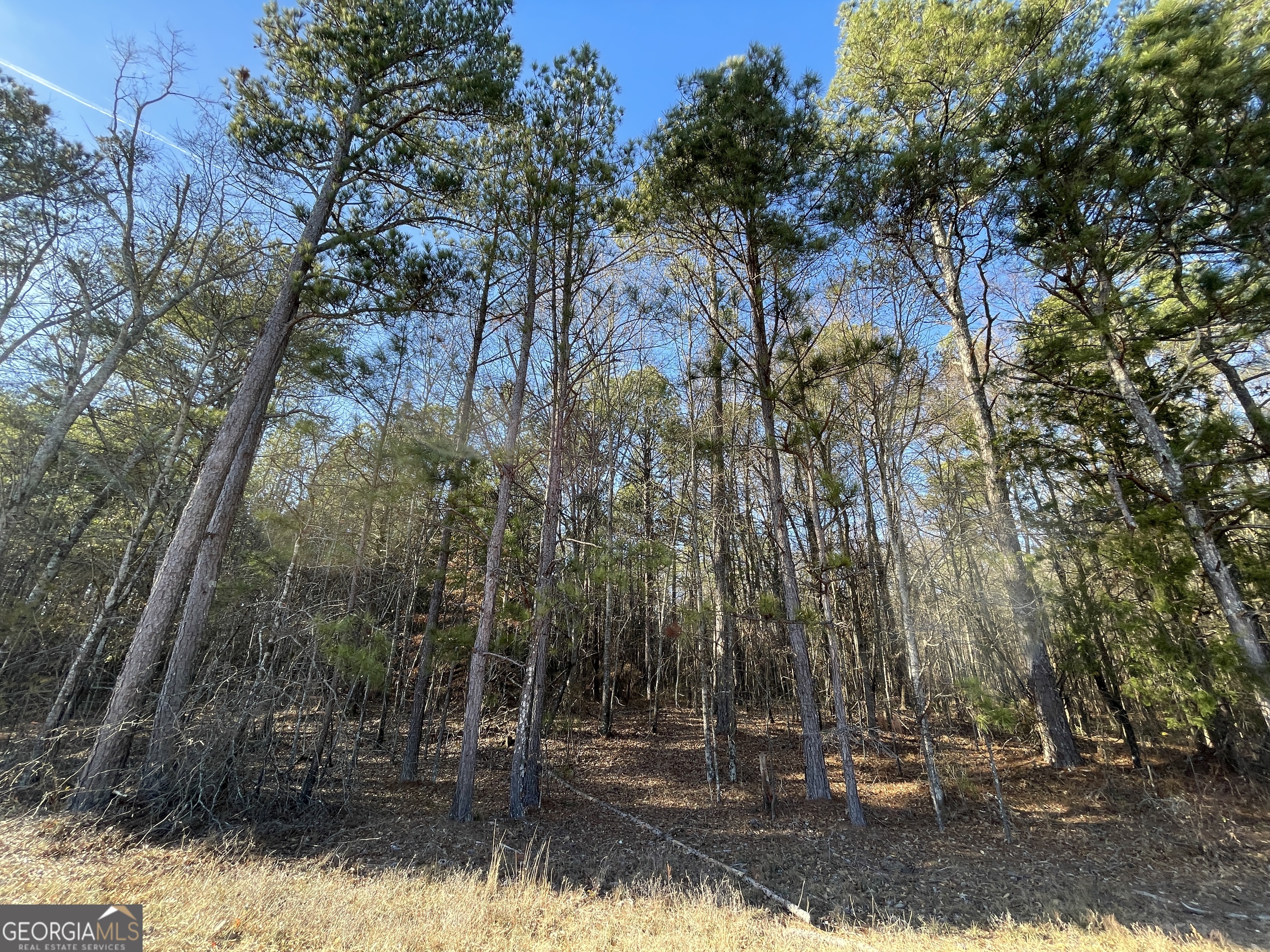 0 S Highway 81 Property Photo 36