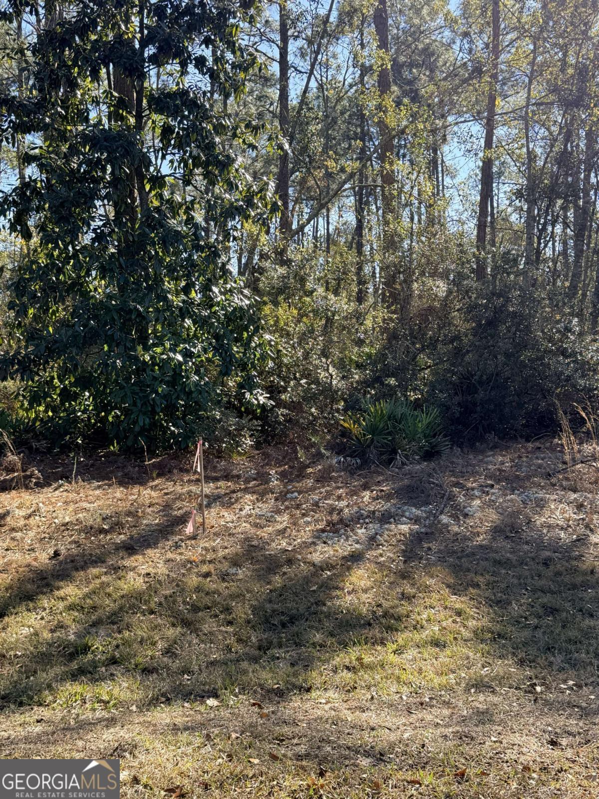 414 Pendleton Street Property Photo 4