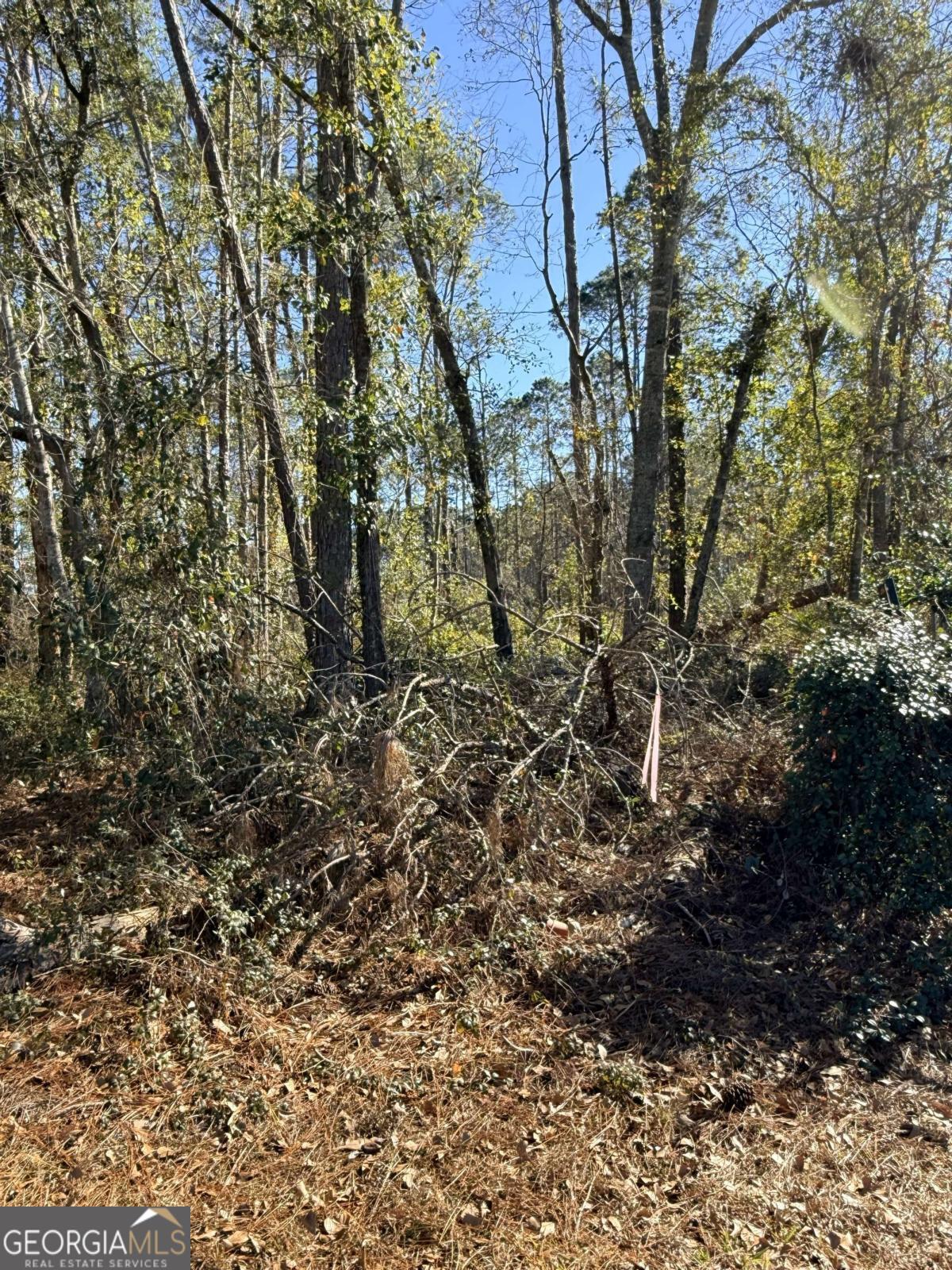 414 Pendleton Street Property Photo 5