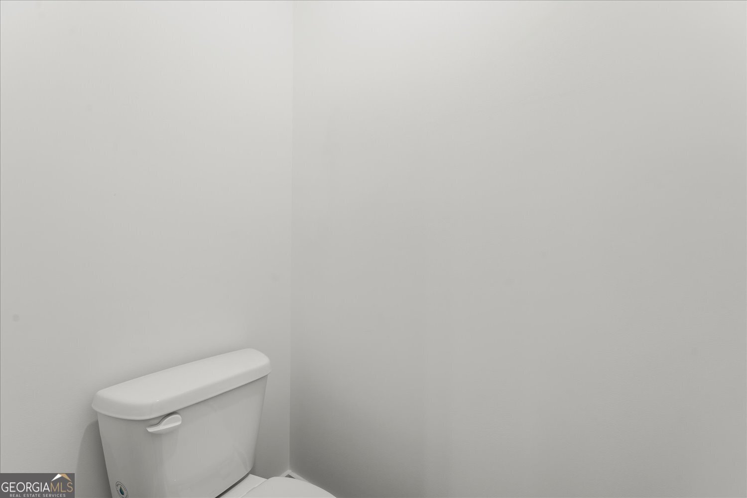 36 Edith Court Property Photo 19