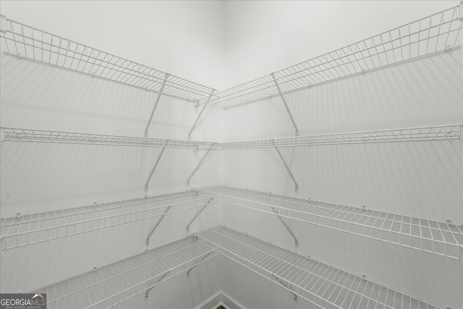 36 Edith Court Property Photo 24