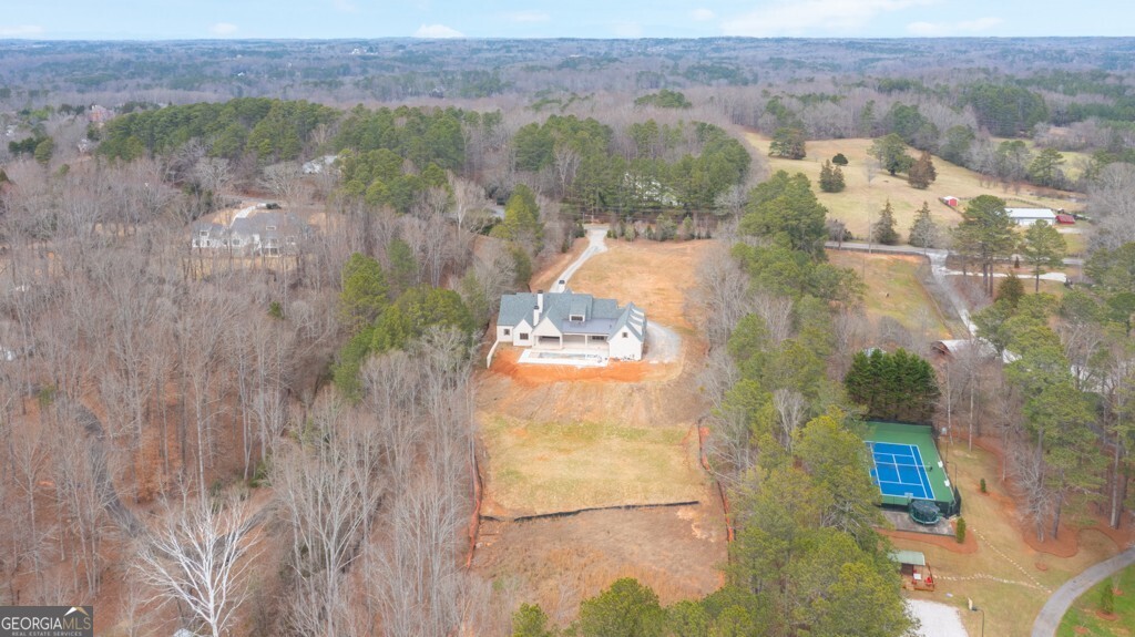615 Hickory Flat Road Property Photo 3