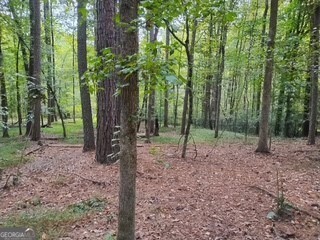 0 Old Southwick Pass Property Photo 59