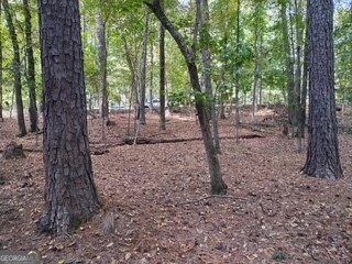 0 Old Southwick Pass Property Photo 60