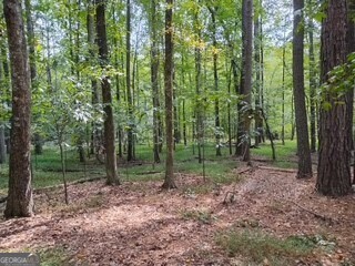 0 Old Southwick Pass Property Photo 61