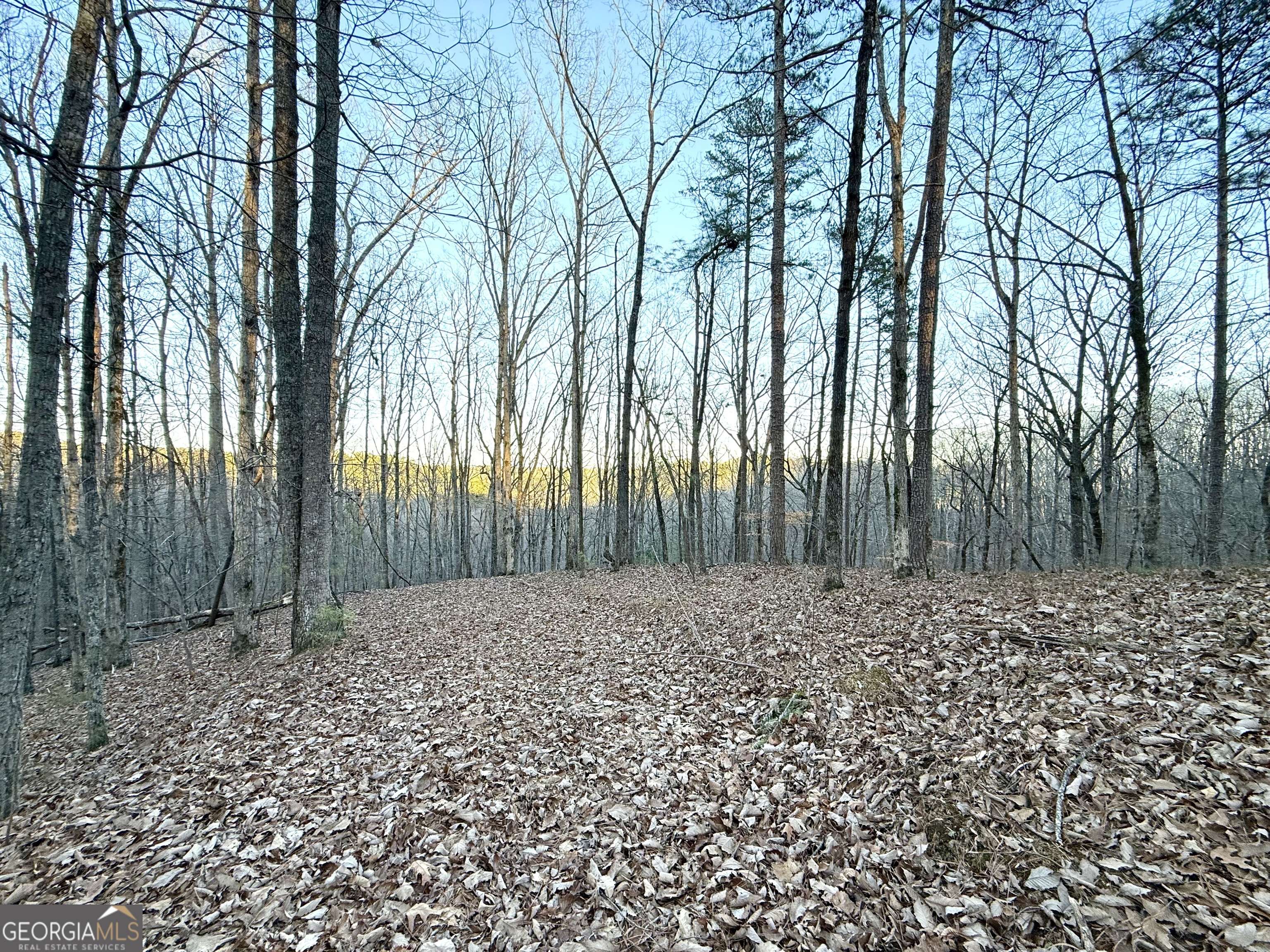 128 Adair Drive Property Photo 1