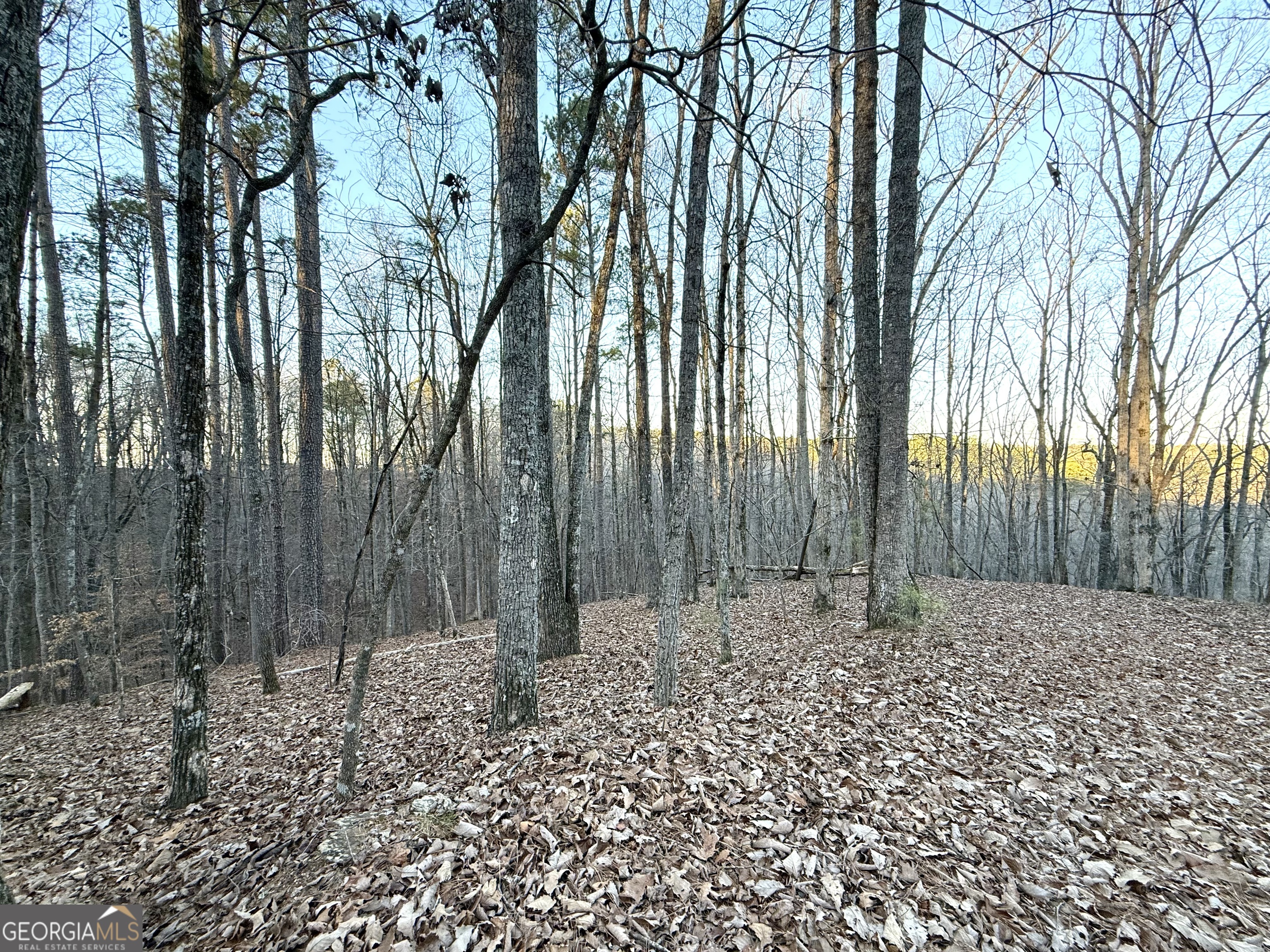 128 Adair Drive Property Photo 2
