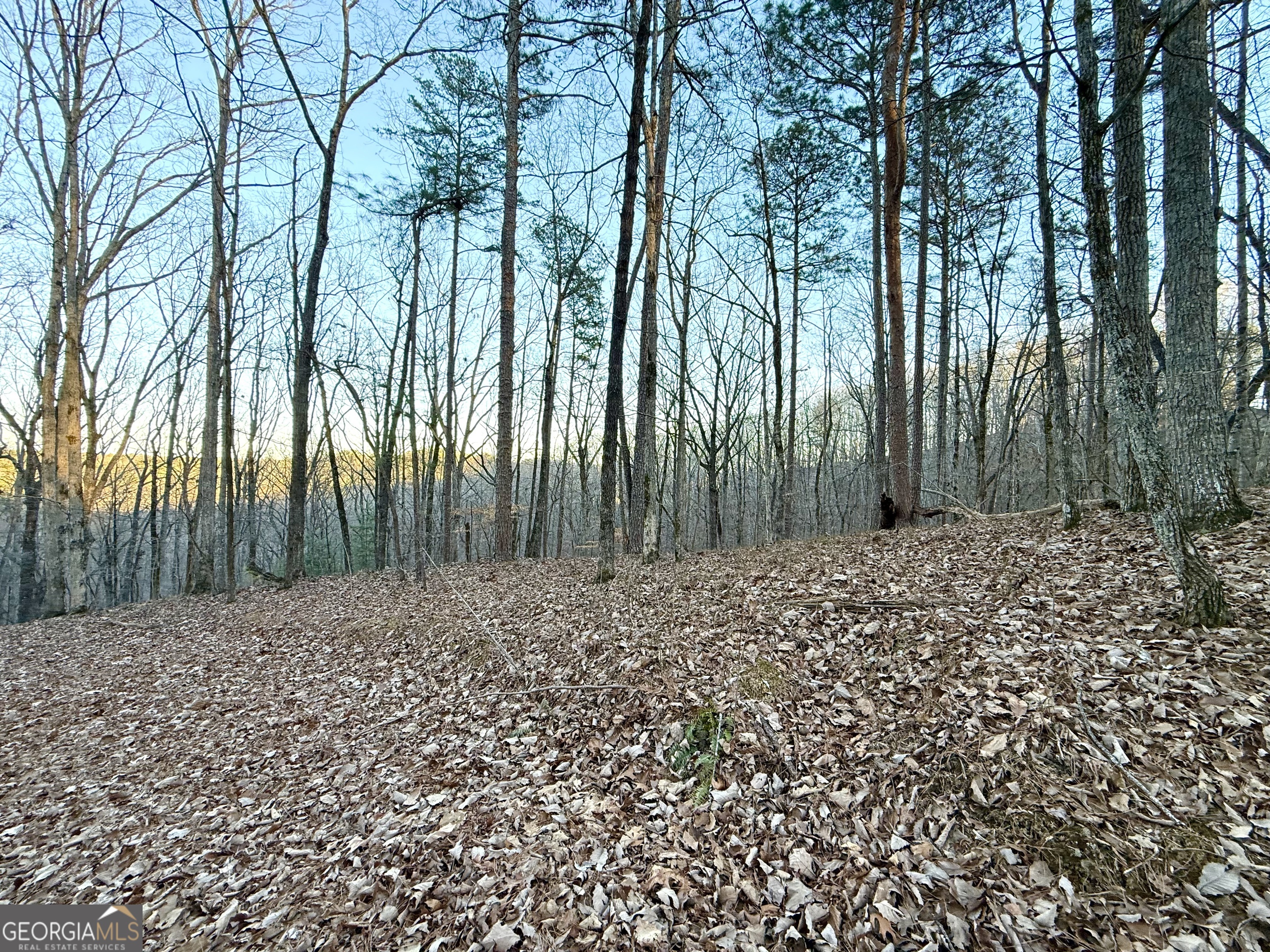 128 Adair Drive Property Photo 3