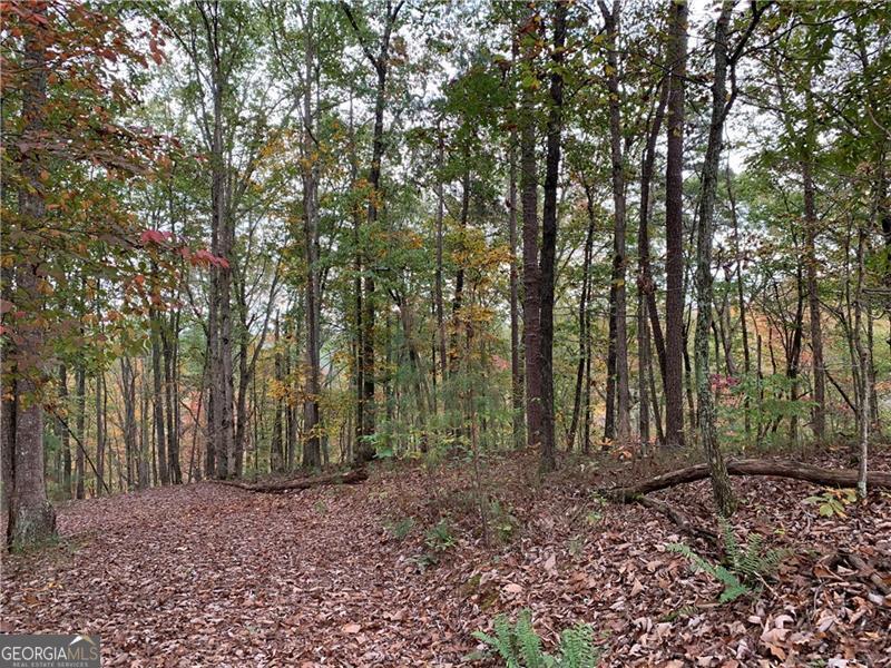 128 Adair Drive Property Photo 4