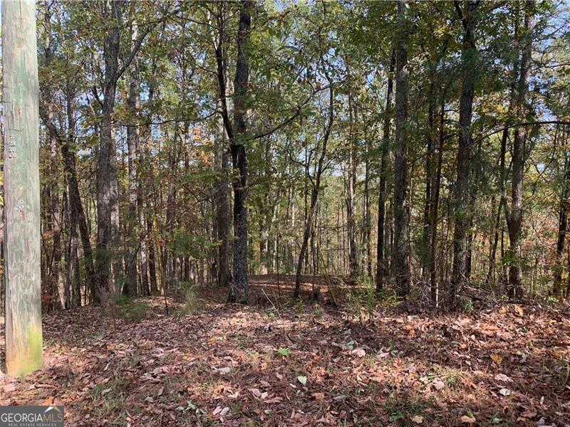 128 Adair Drive Property Photo 15