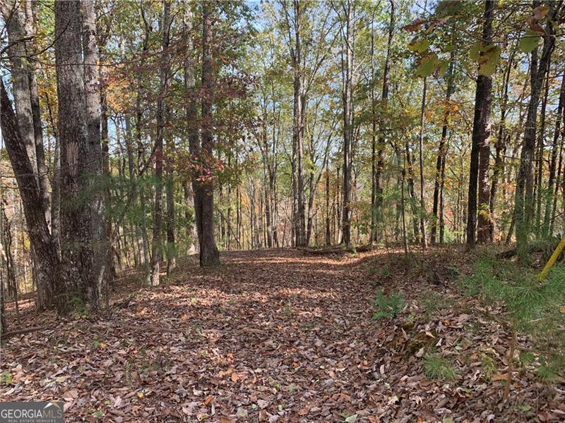 128 Adair Drive Property Photo 16