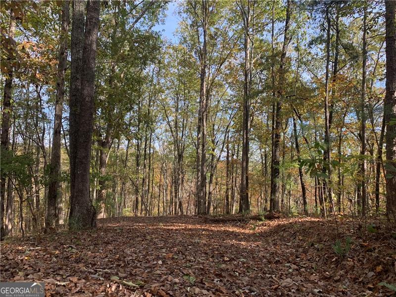 128 Adair Drive Property Photo 18