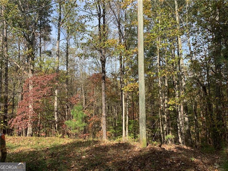 128 Adair Drive Property Photo 19