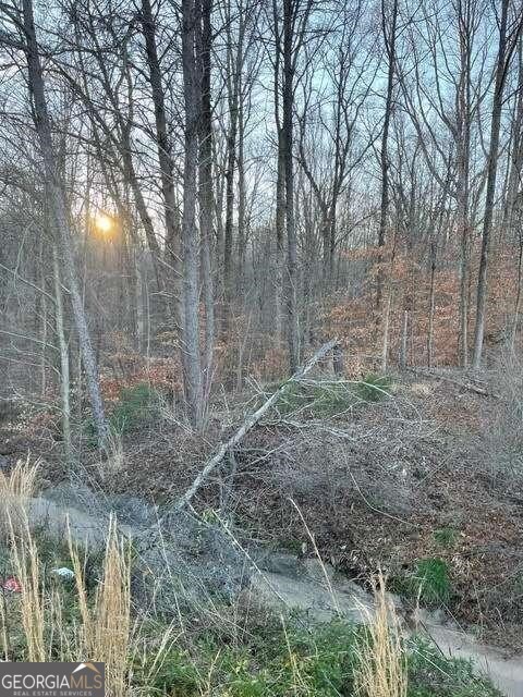 2202 Jesse Jewell Parkway Property Photo 1