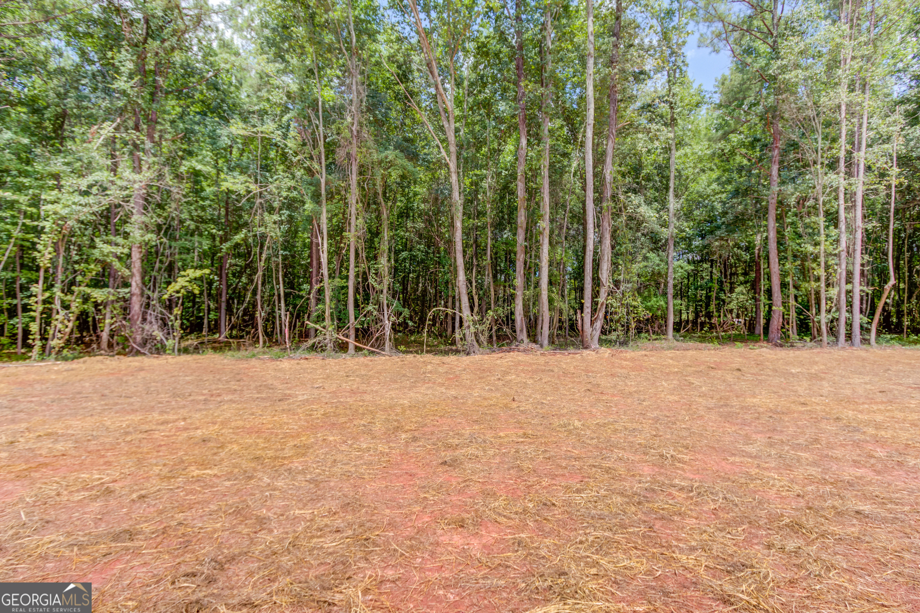 Tract Ethridge Road Property Photo 38