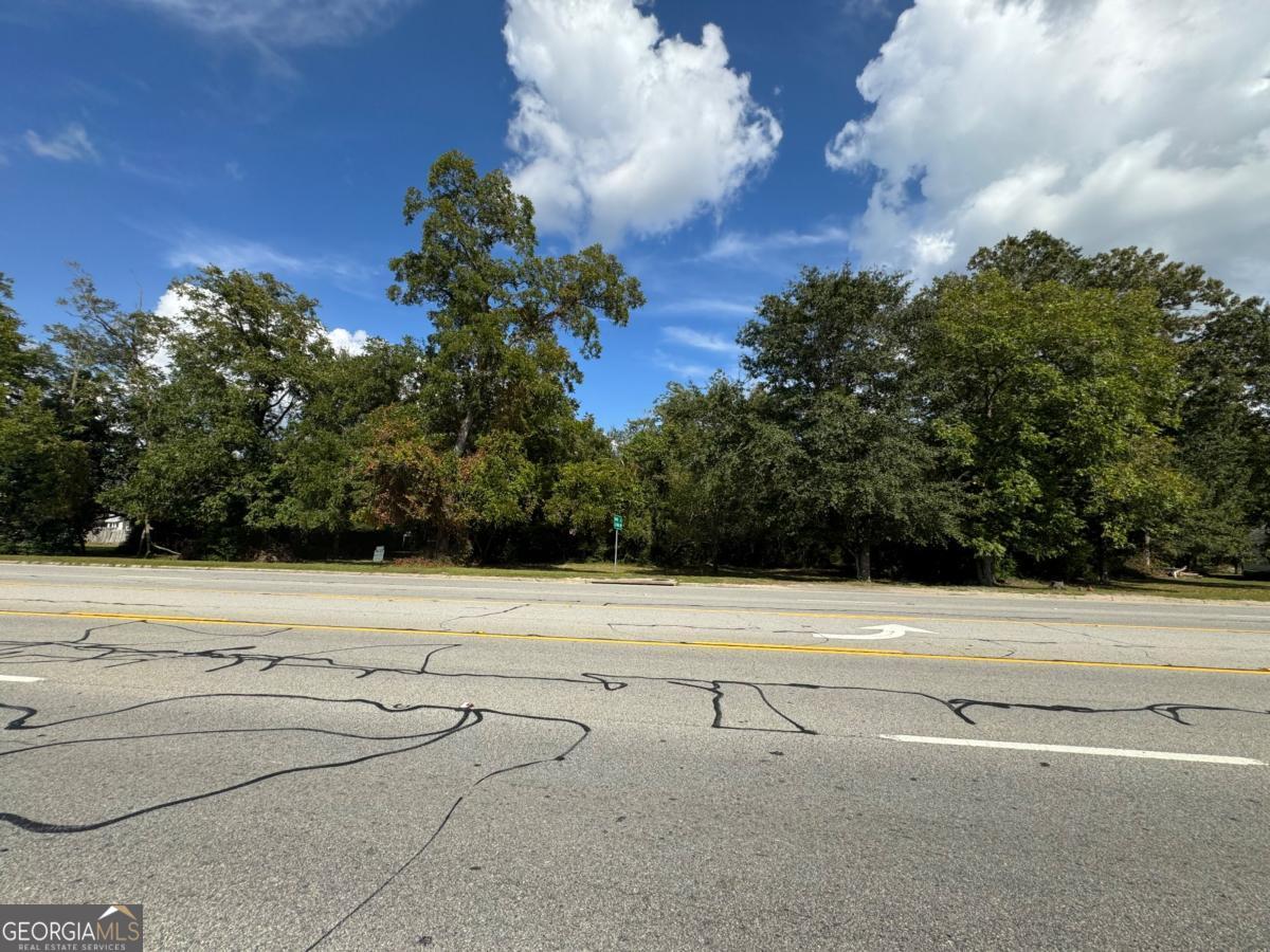 0 Golden Isles Highway Property Photo 1