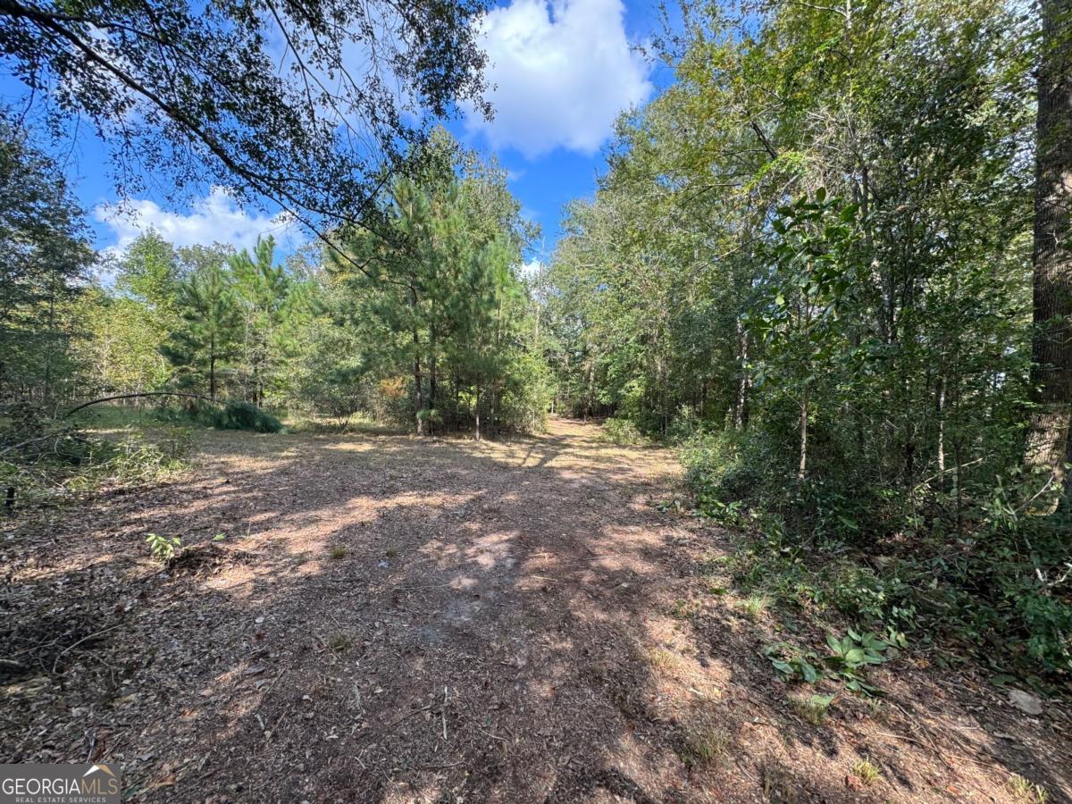 0 Golden Isles Highway Property Photo 2
