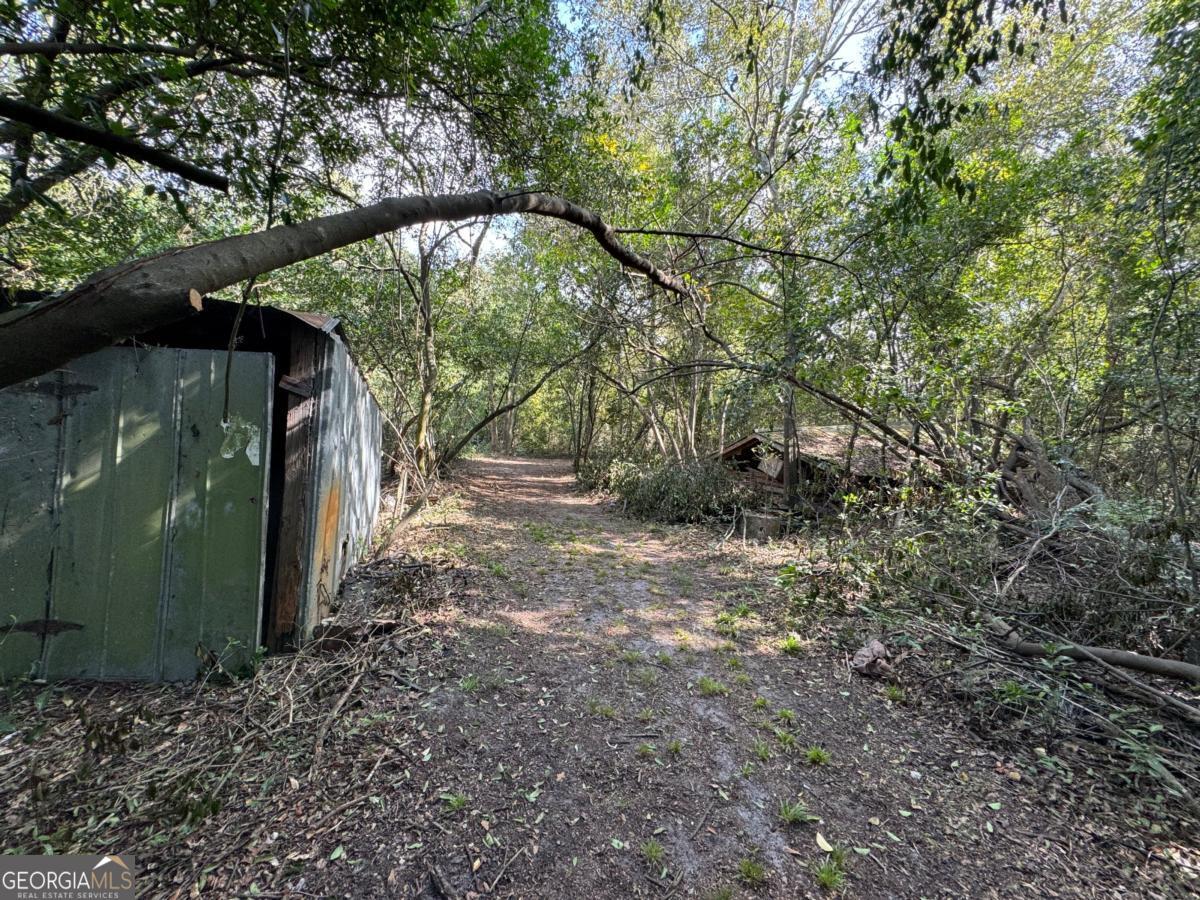 0 Golden Isles Highway Property Photo 5