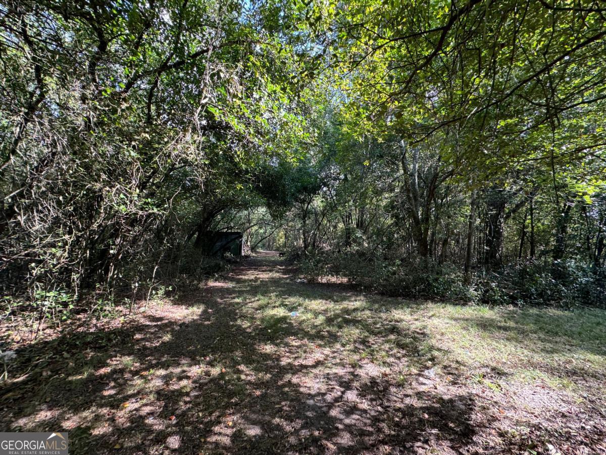 0 Golden Isles Highway Property Photo 6