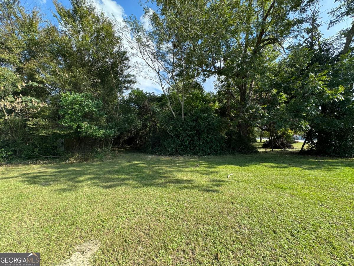 0 Golden Isles Highway Property Photo 8