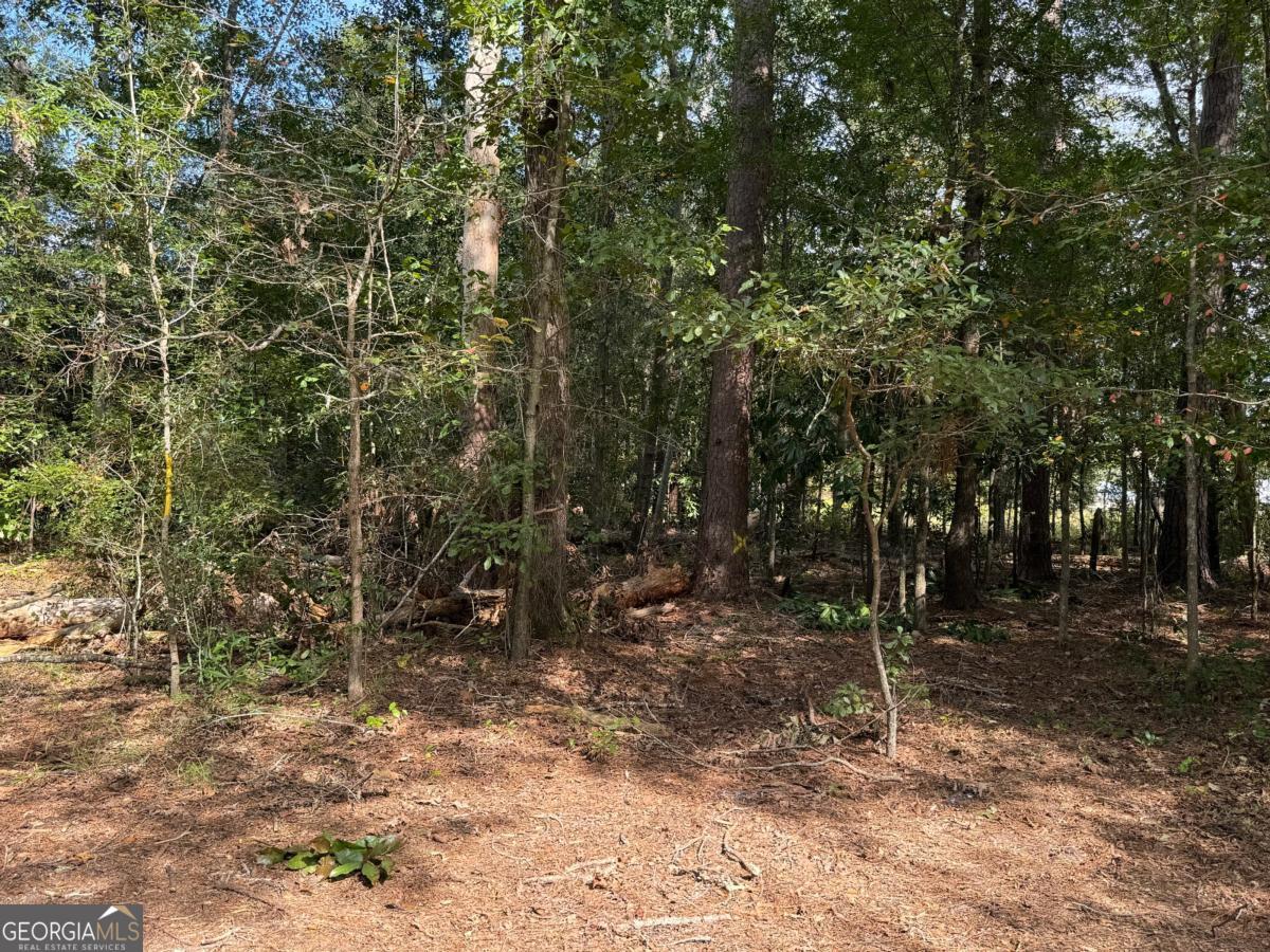 0 Golden Isles Highway Property Photo 11