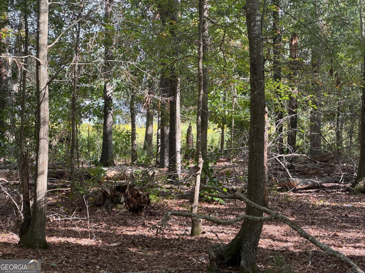 0 Golden Isles Highway Property Photo 12