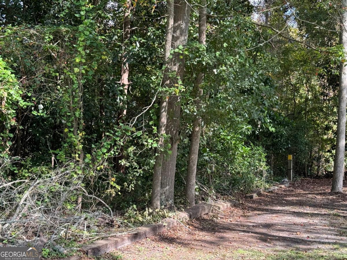 0 Golden Isles Highway Property Photo 13