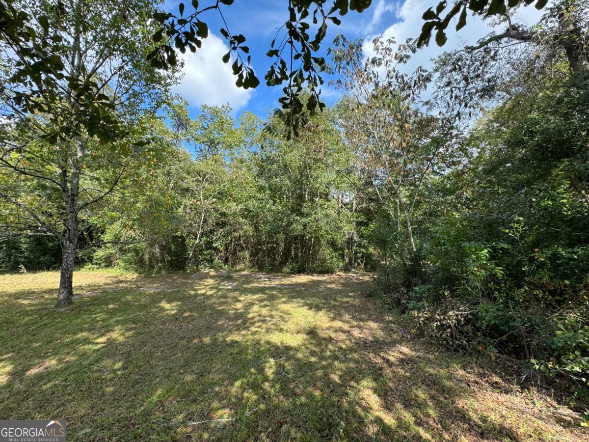 0 Golden Isles Highway Property Photo 14