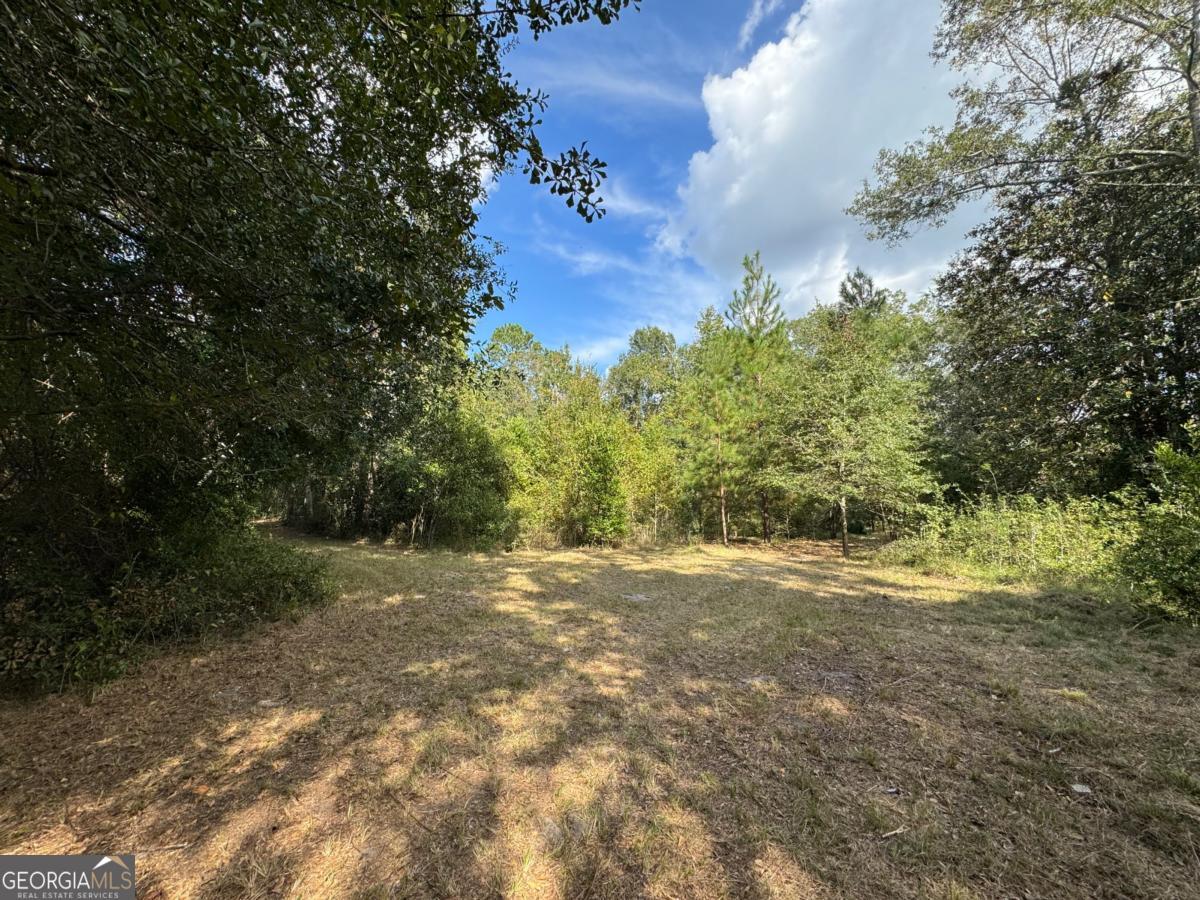 0 Golden Isles Highway Property Photo 15