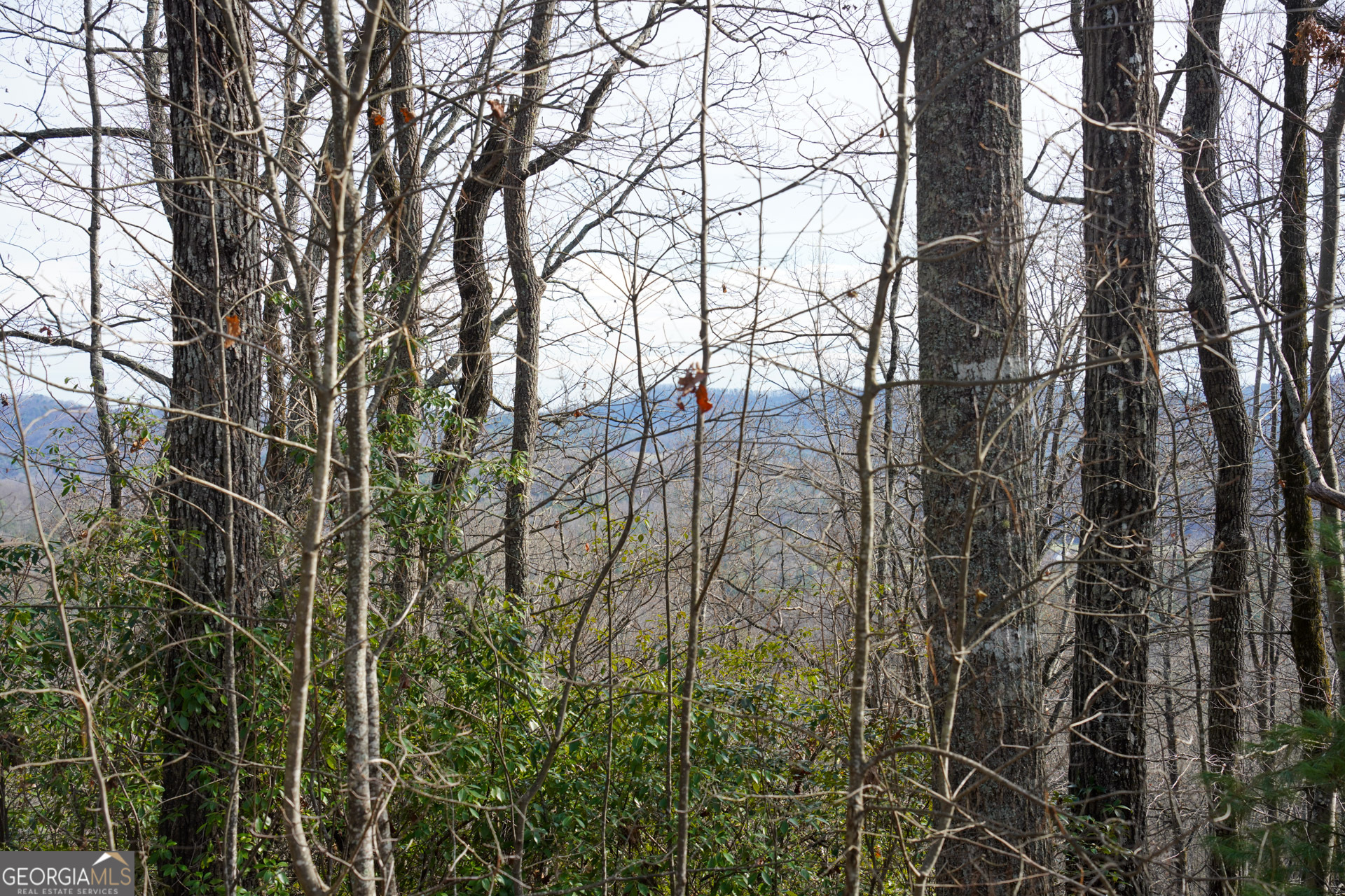 0 High Holly Property Photo 2