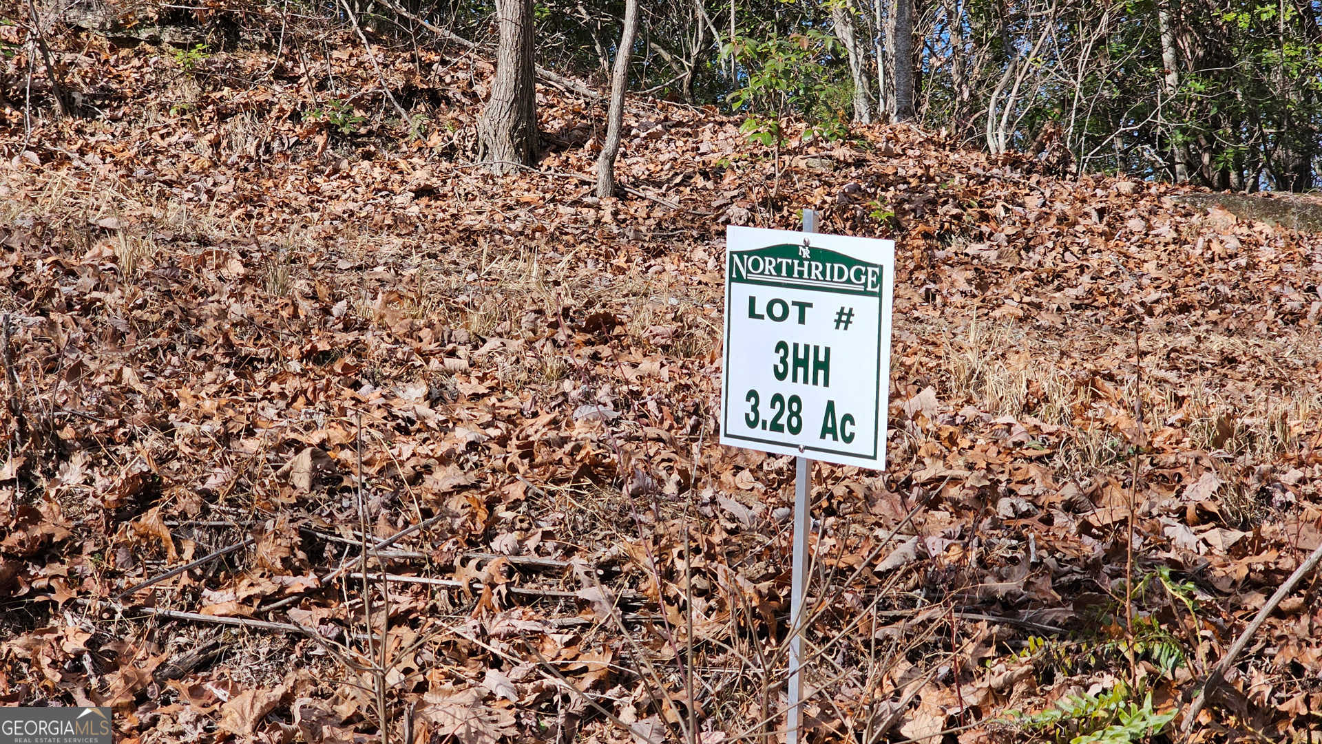 0 High Holly Property Photo 3