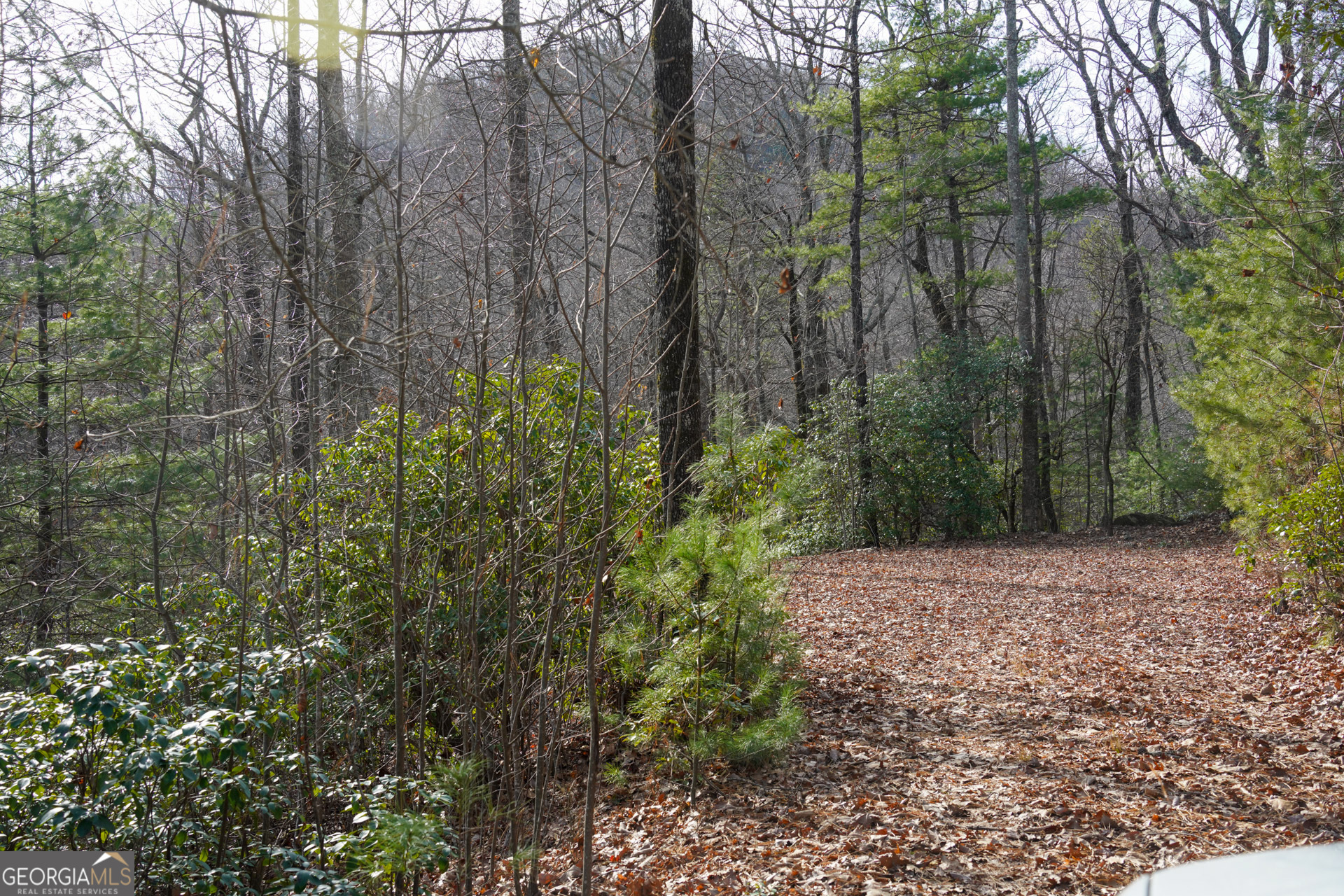 0 High Holly Property Photo 6