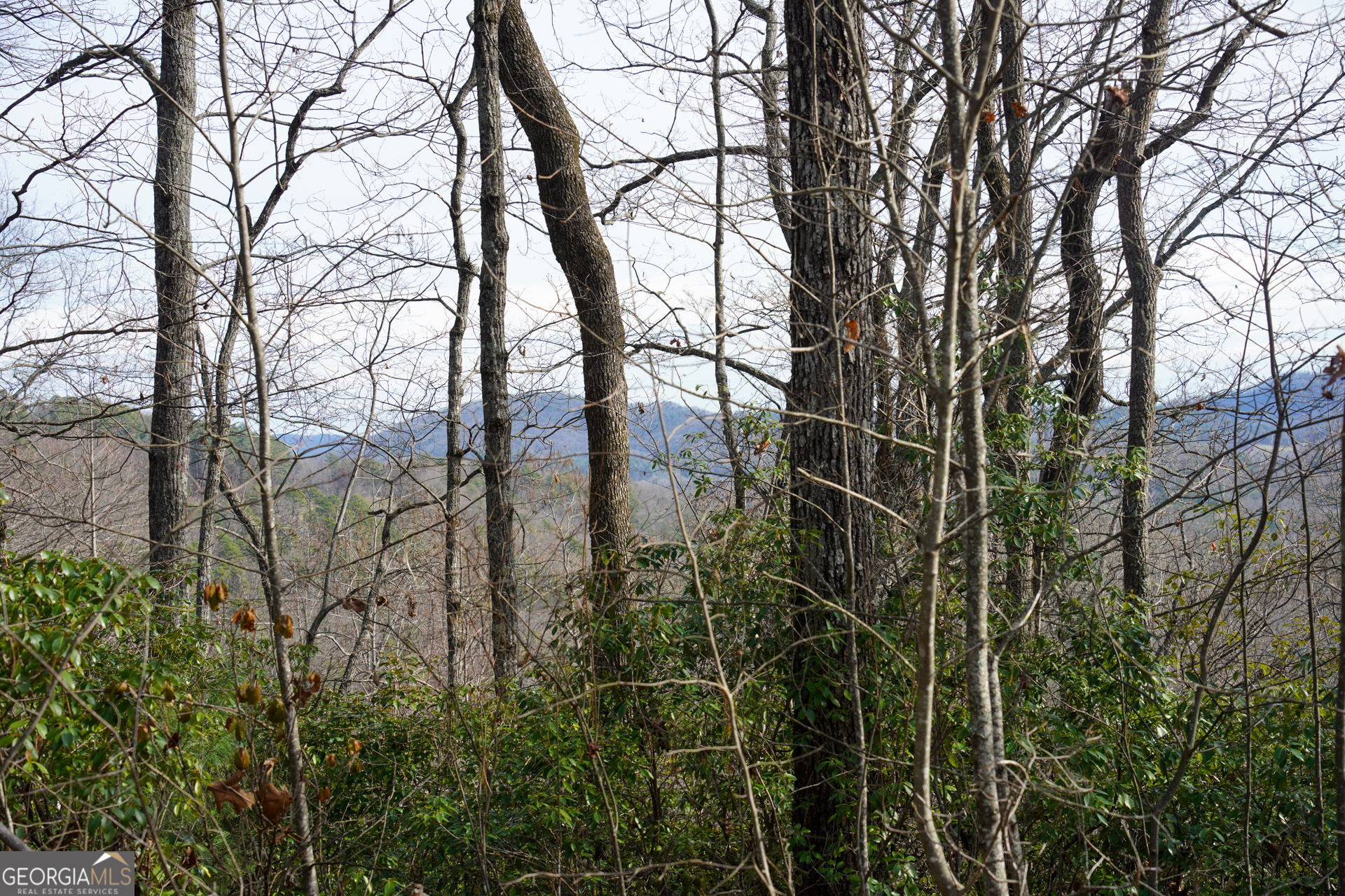 0 High Holly Property Photo 7
