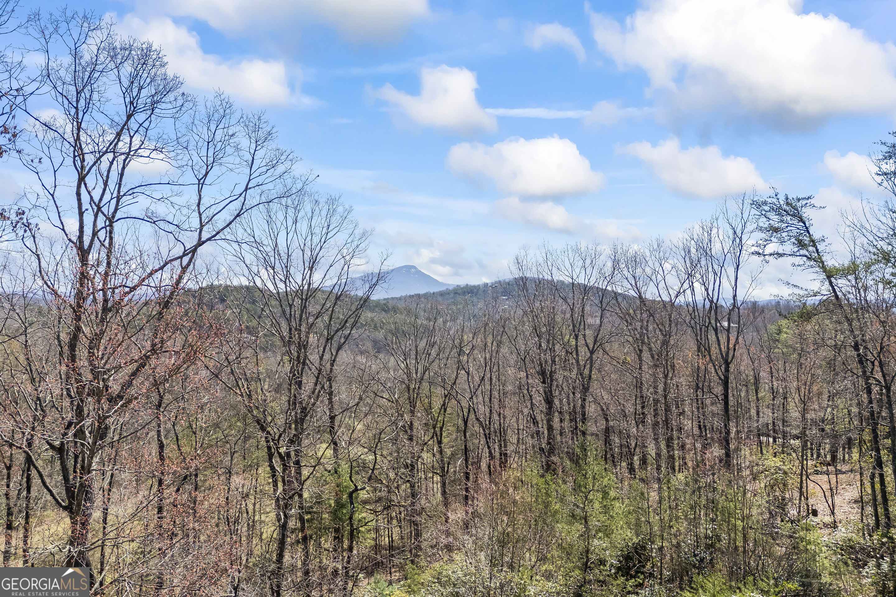 266 Slayton Gap Trail Property Photo 8