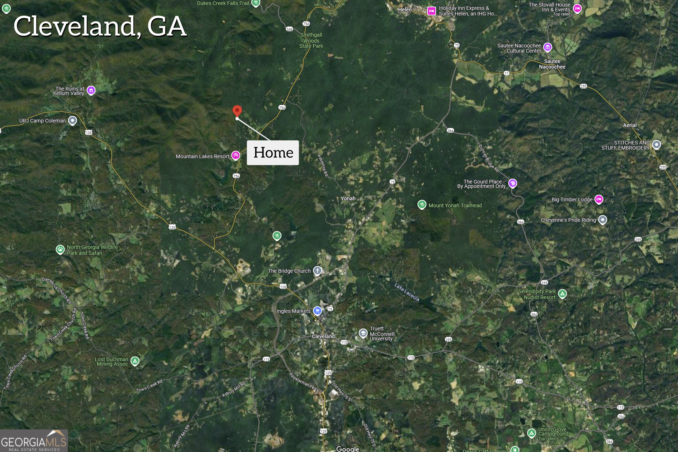 266 Slayton Gap Trail Property Photo 71