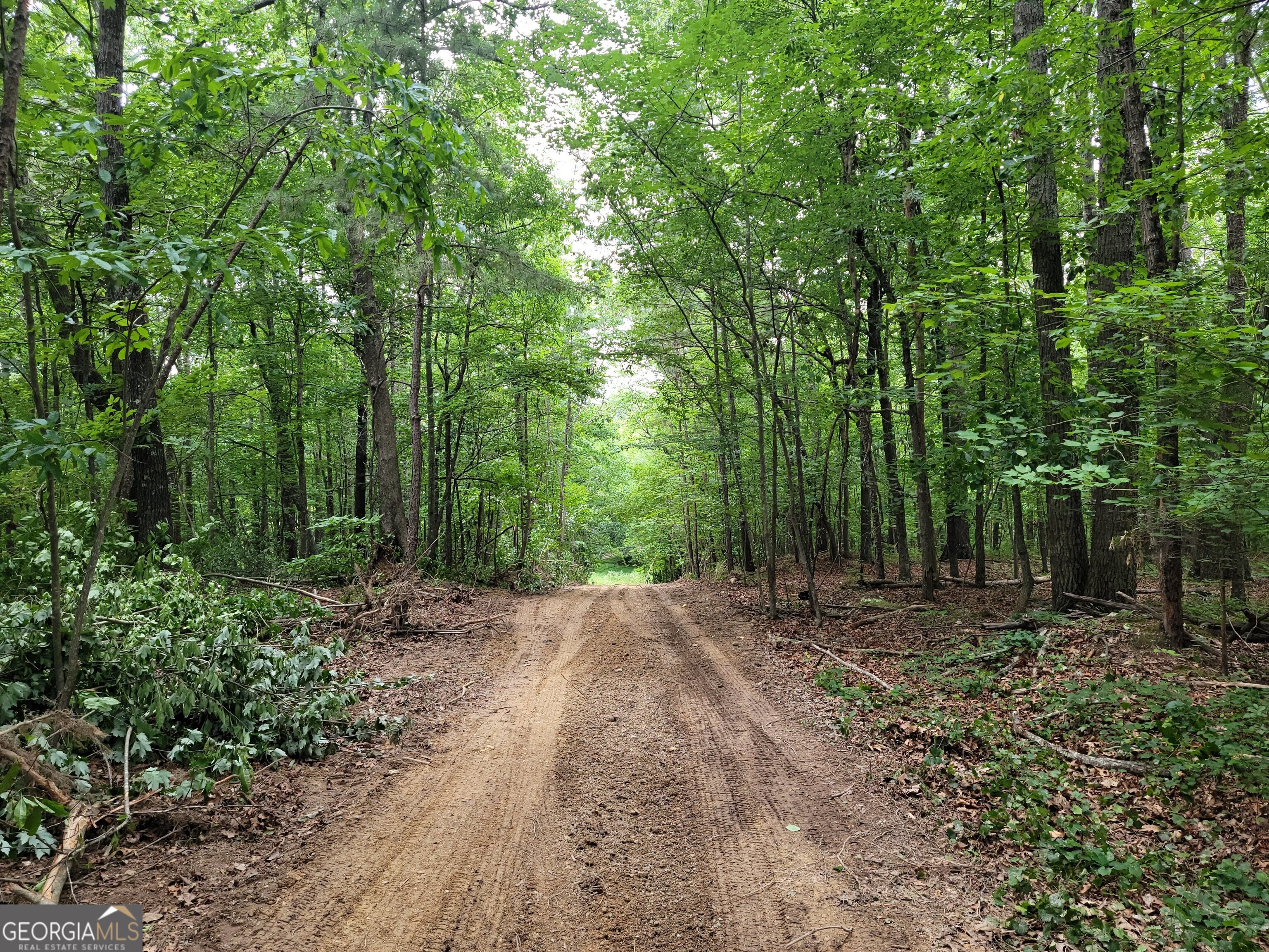 0 Rocky Hollow Road Property Photo 1
