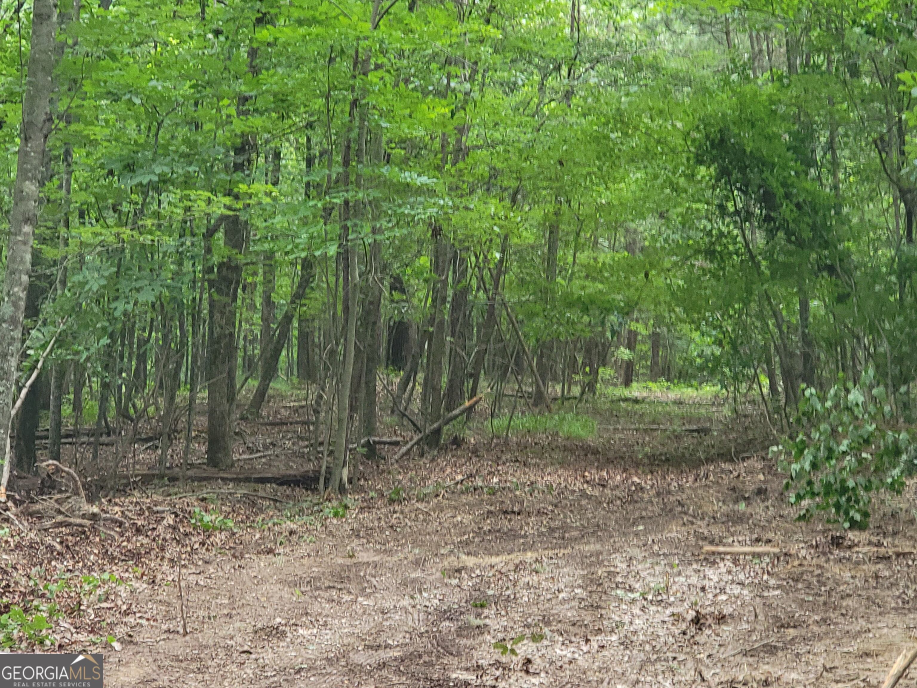 0 Rocky Hollow Road Property Photo 2
