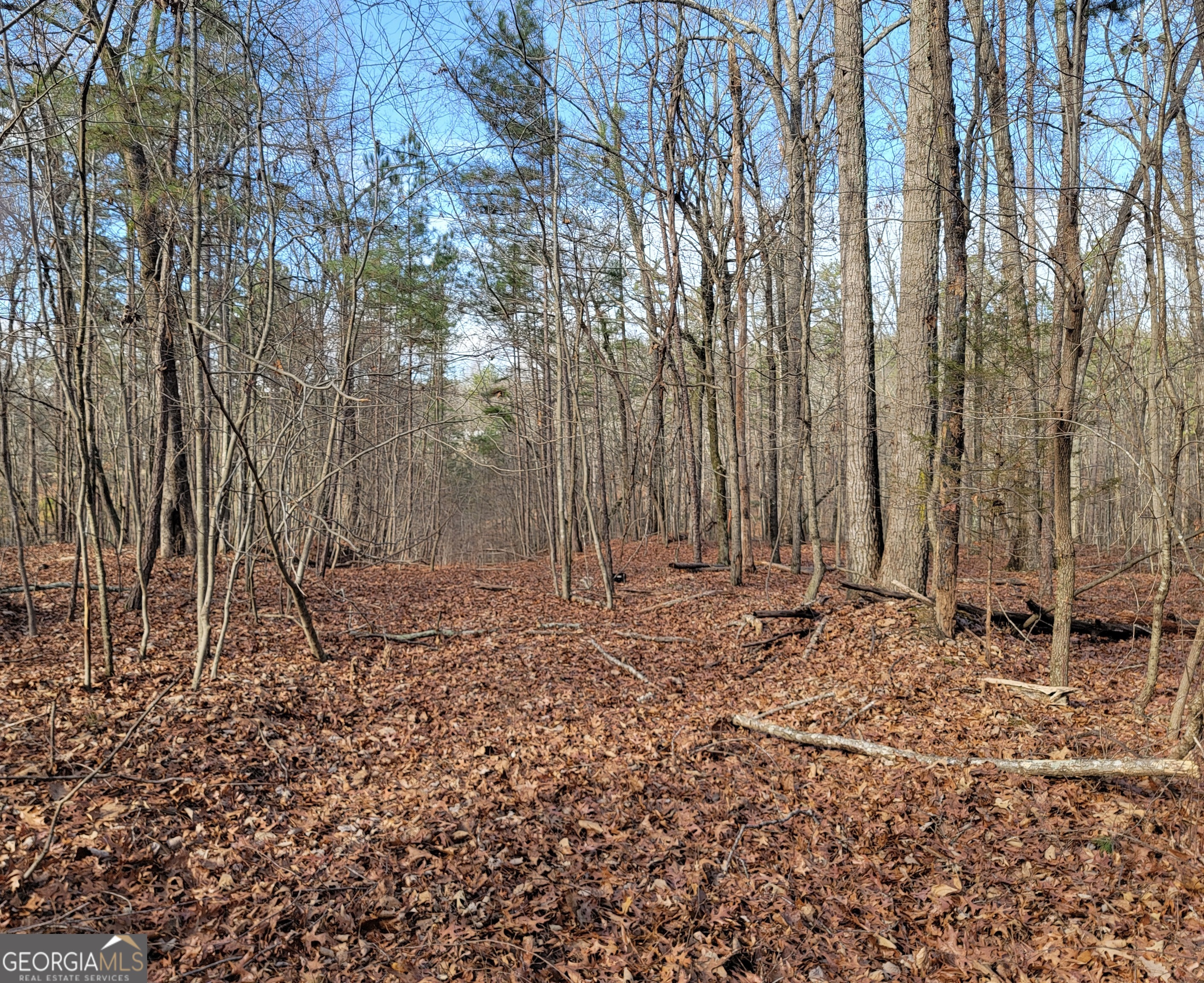 0 Rocky Hollow Road Property Photo 8