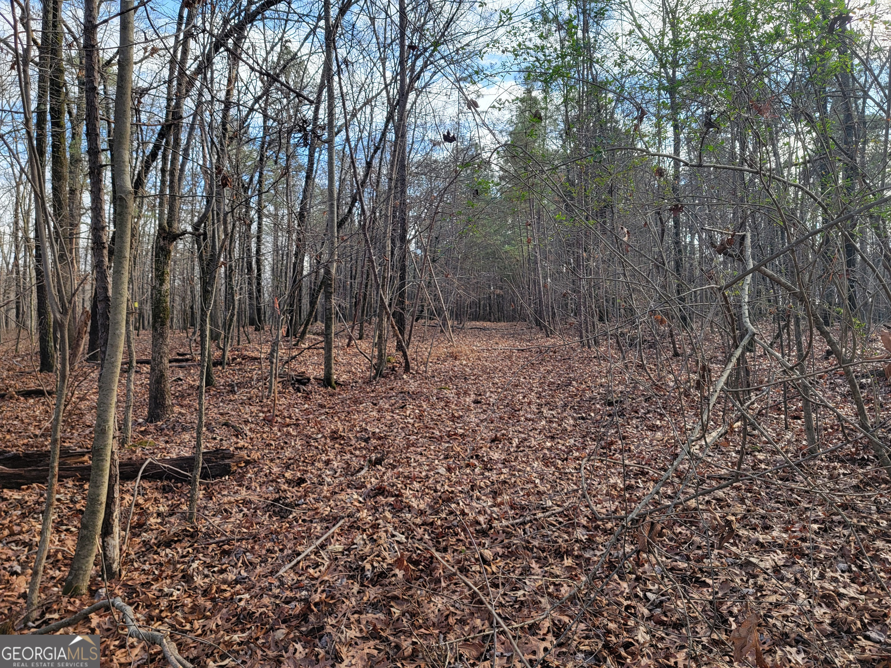 0 Rocky Hollow Road Property Photo 9